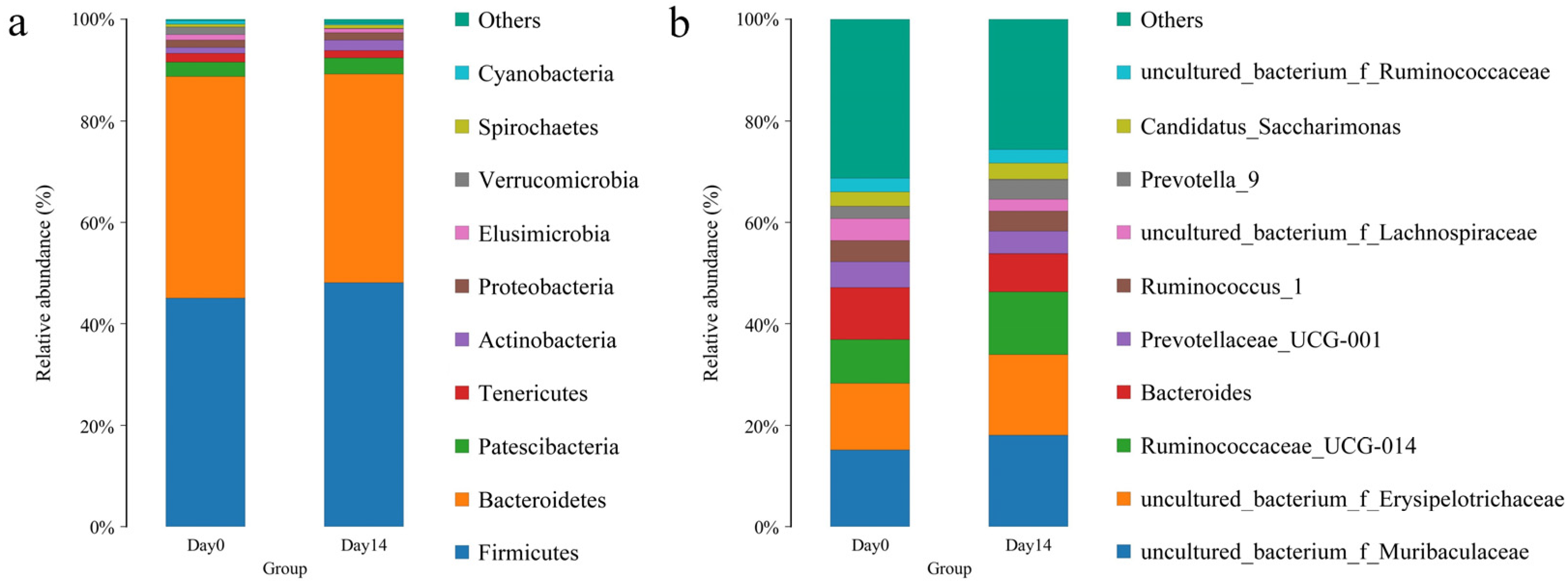 Vetsci 10 00169 g002