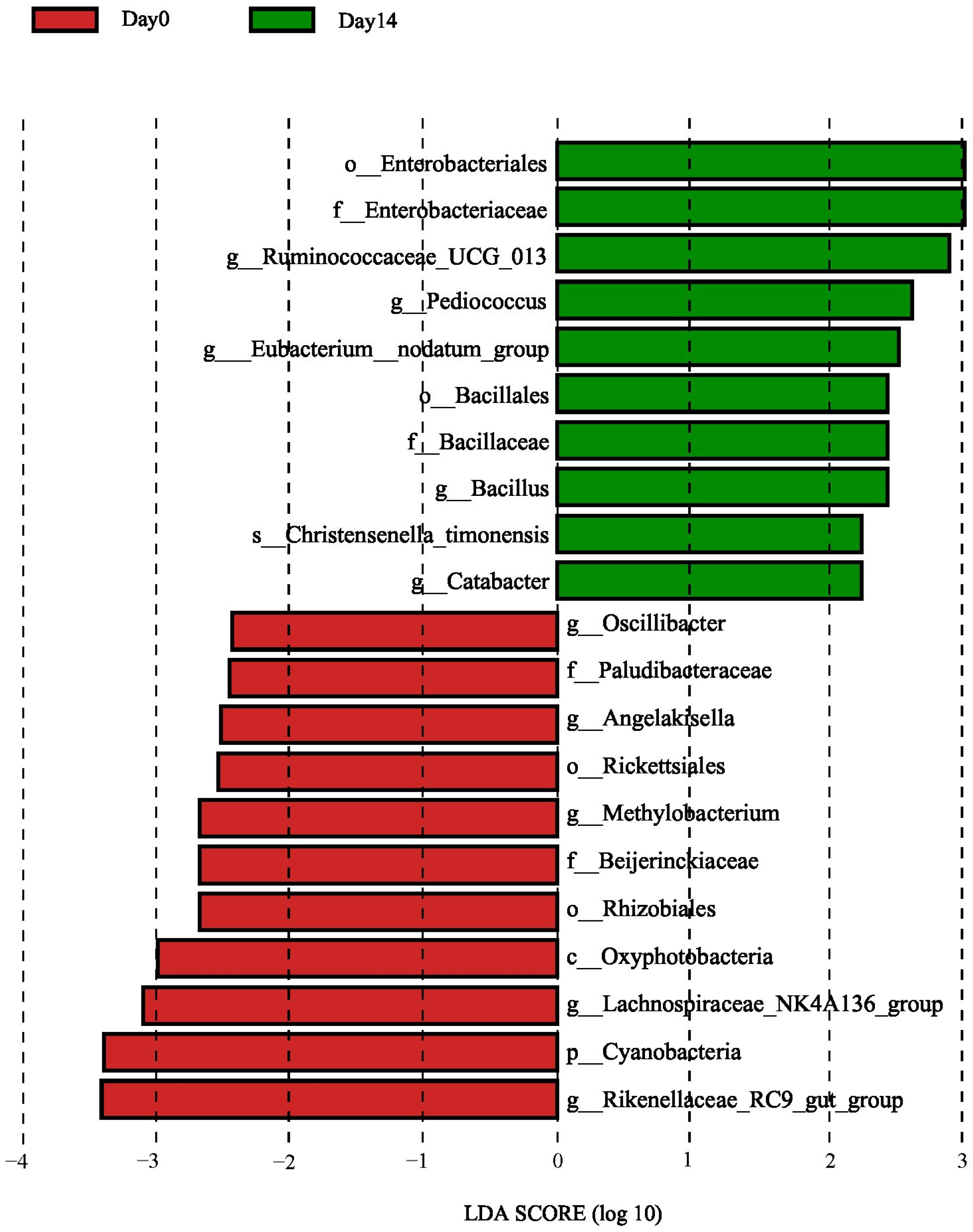 Vetsci 10 00169 g003