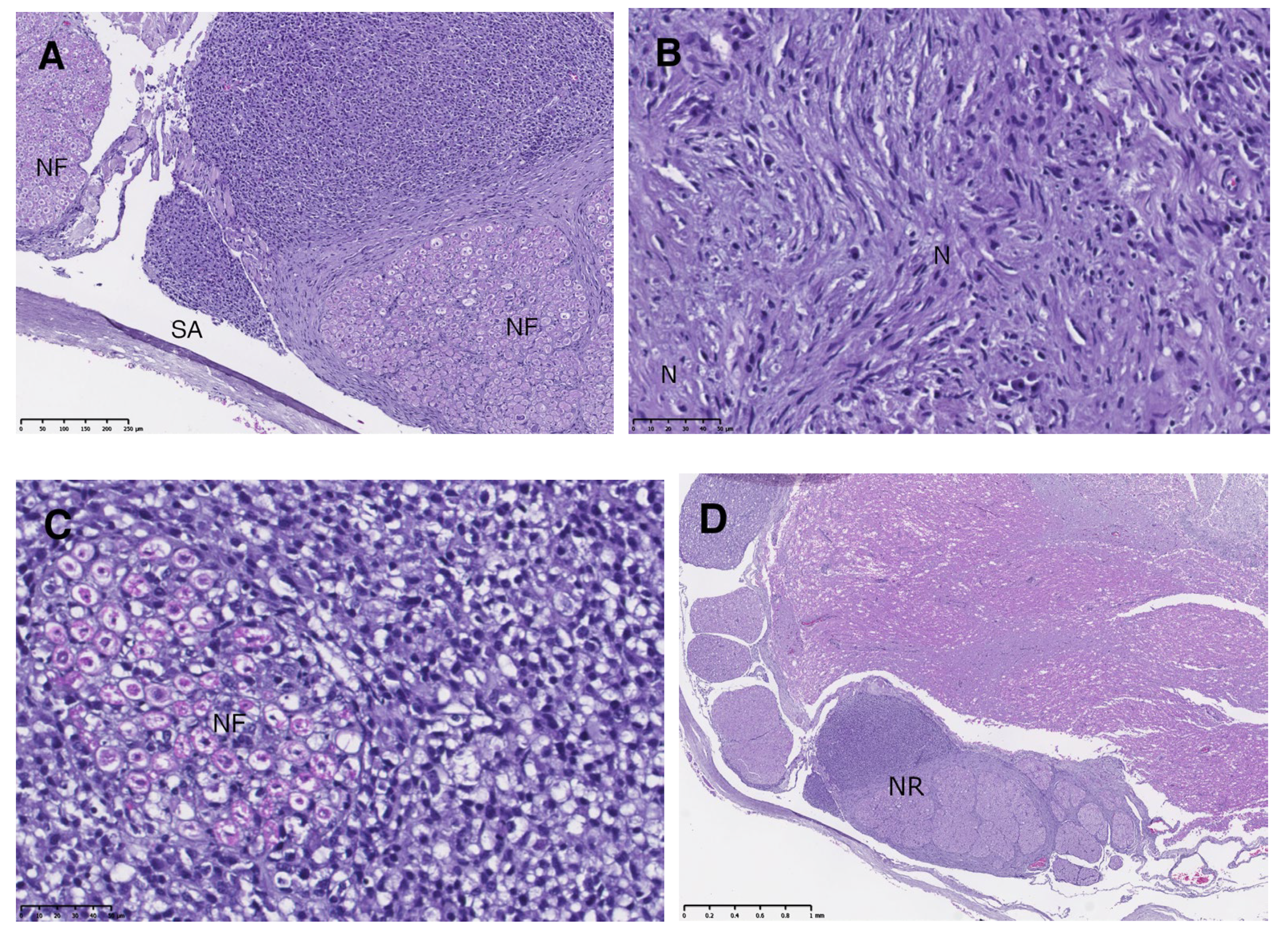 Vetsci 10 00170 g003 Vetsci 10 00170 g003
