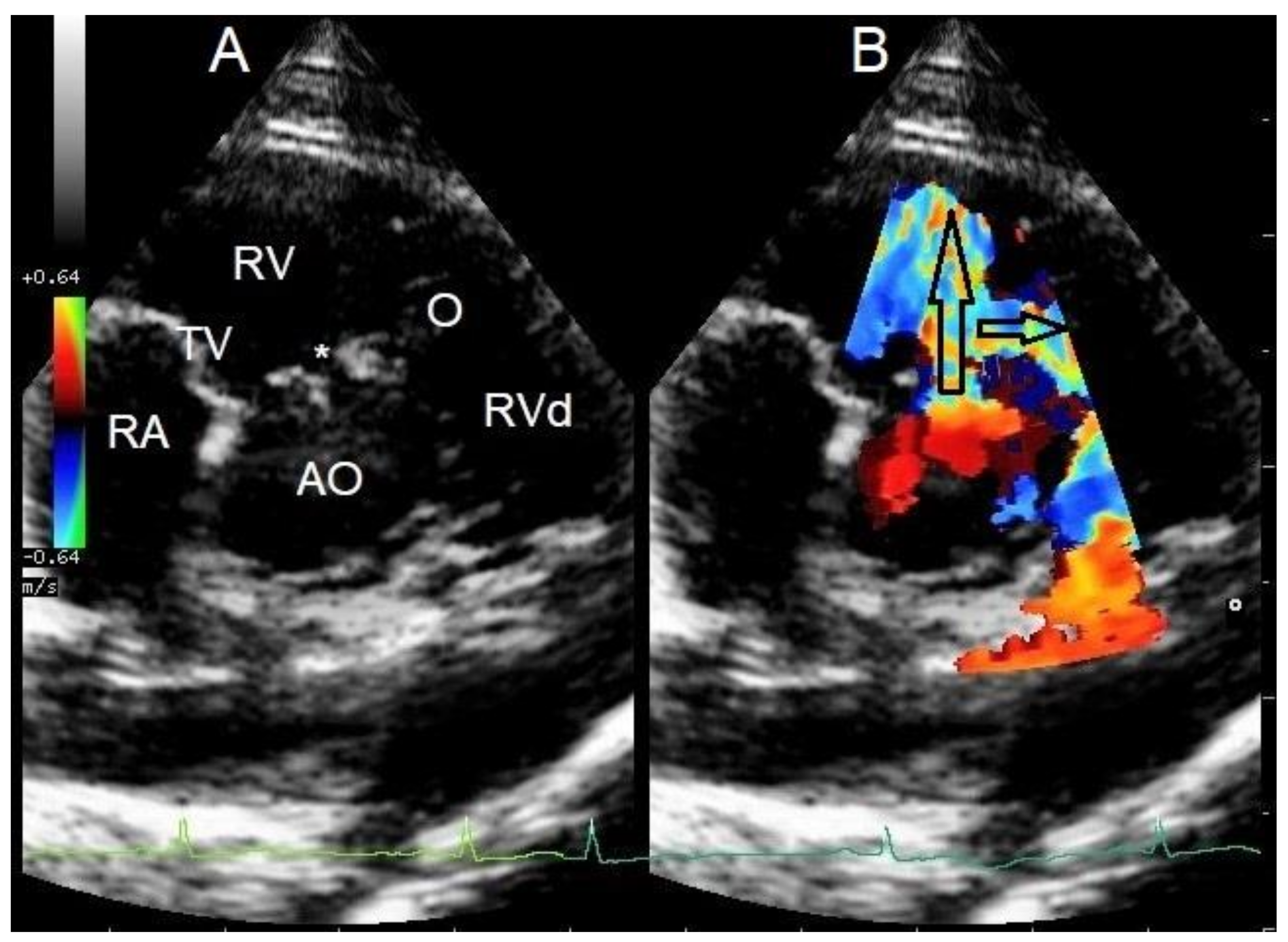 Vetsci 10 00174 g001