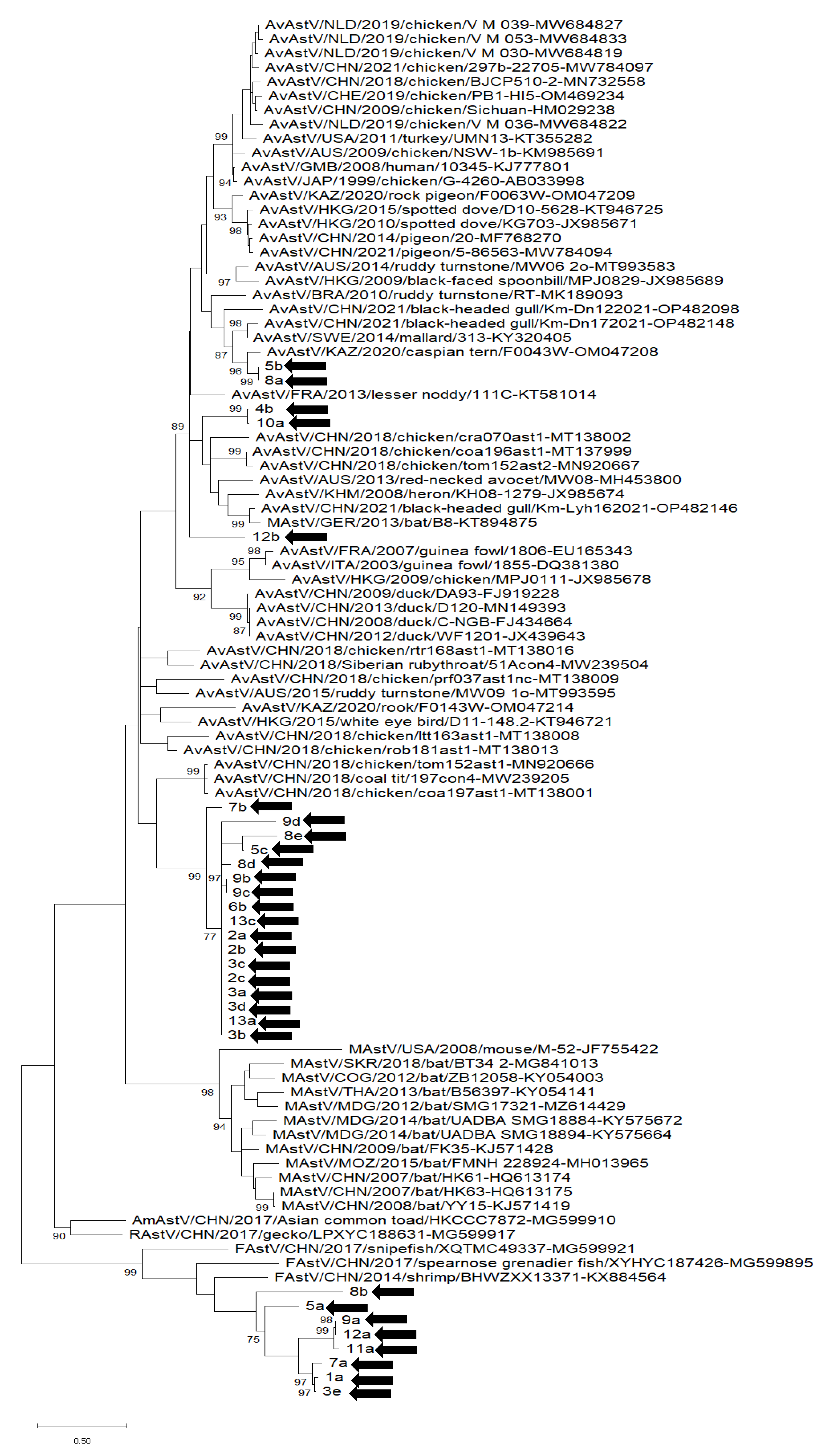 Vetsci 10 00175 g003