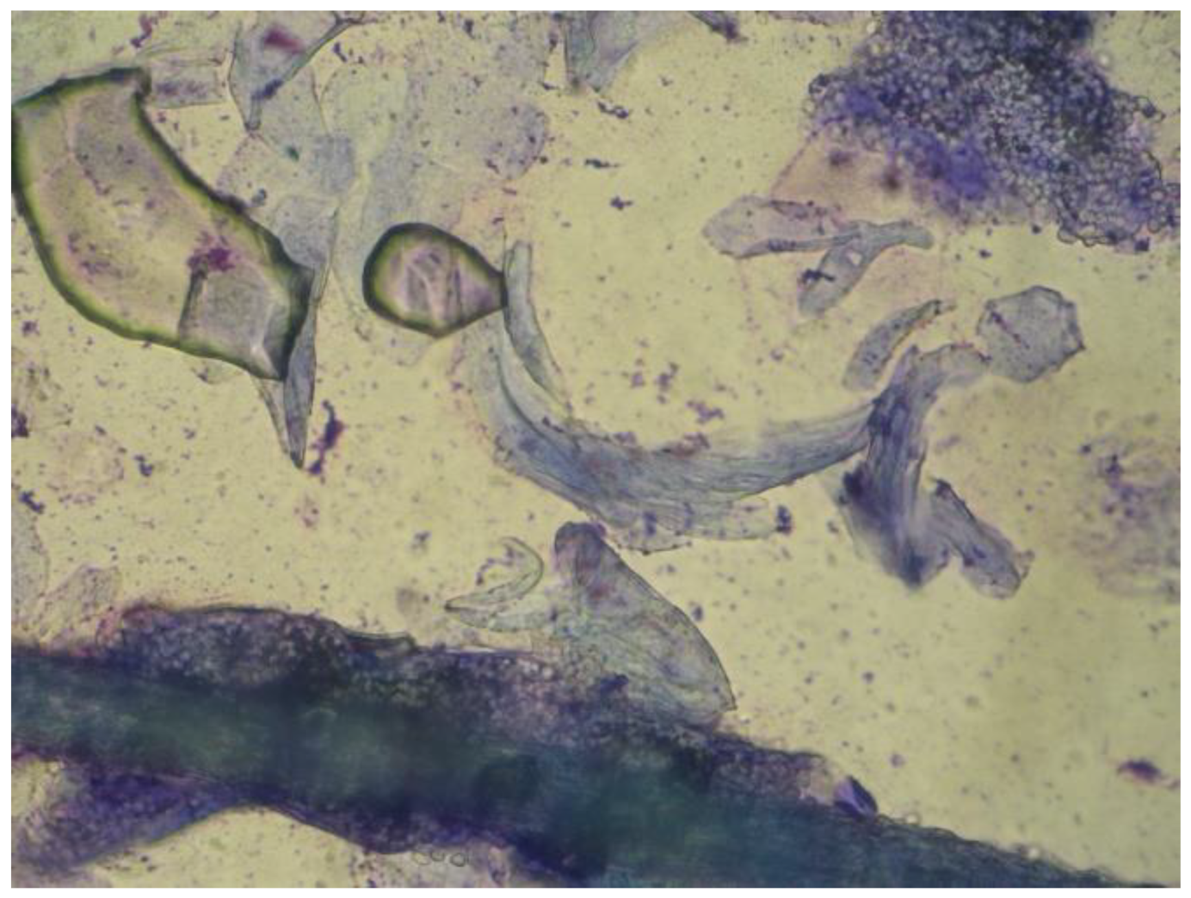 Vetsci 10 00183 g002 Vetsci 10 00183 g002