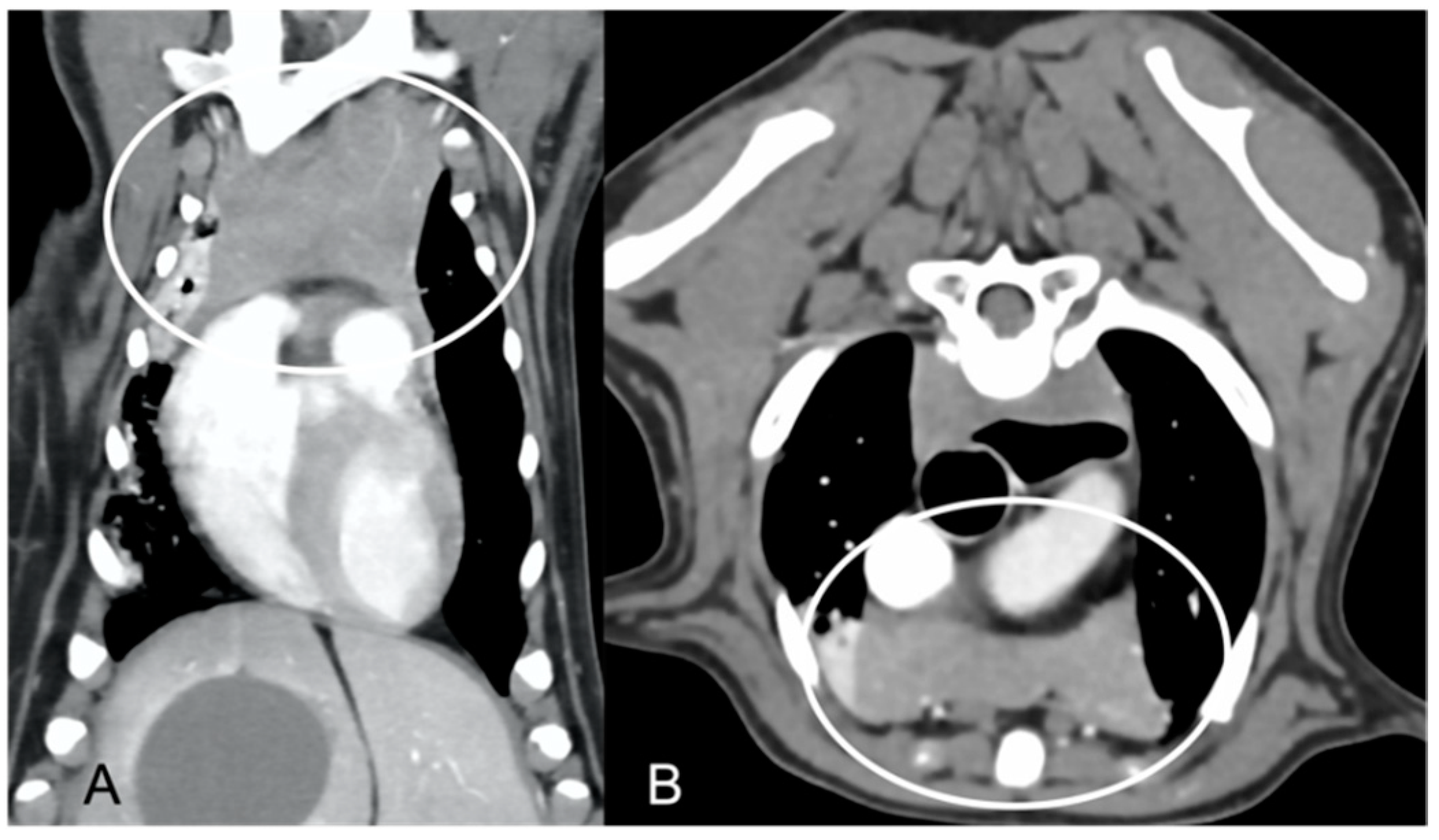 Vetsci 10 00192 g002