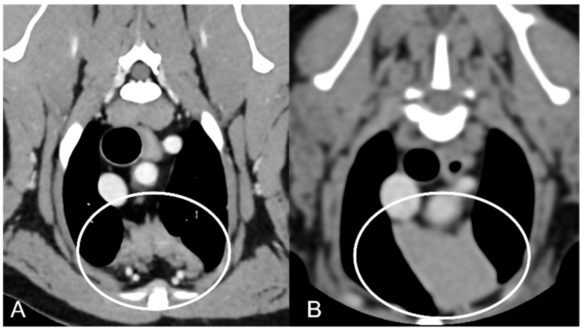 Vetsci 10 00192 g003