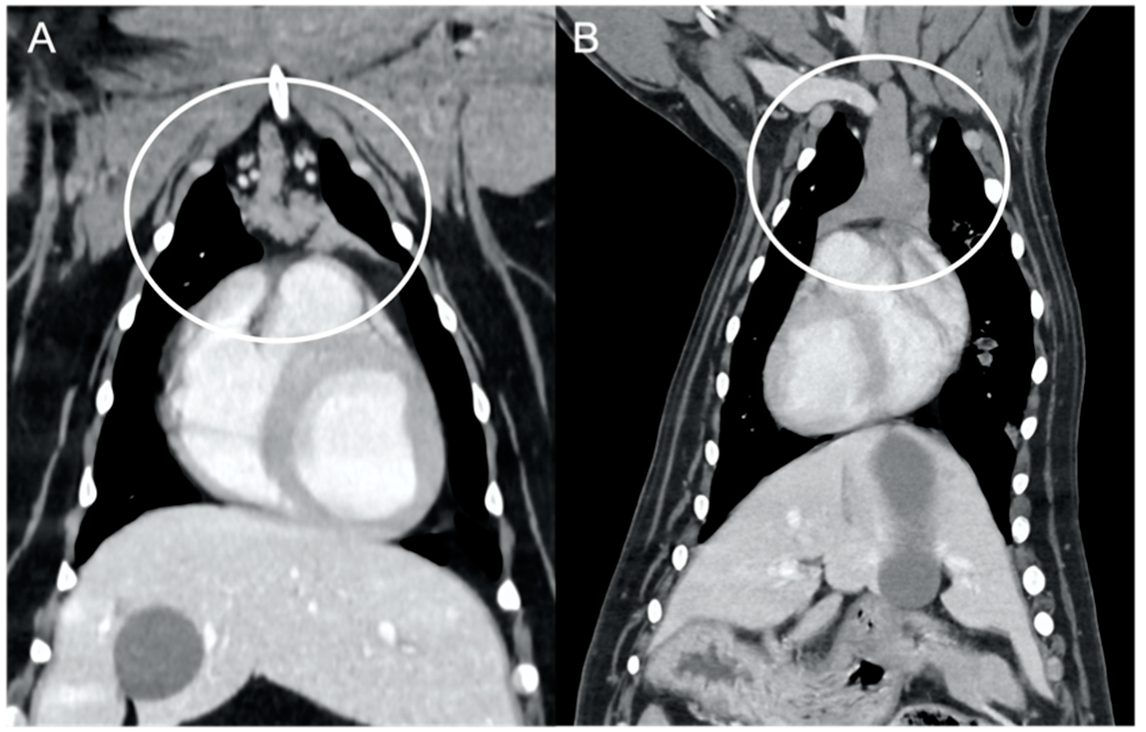Vetsci 10 00192 g004