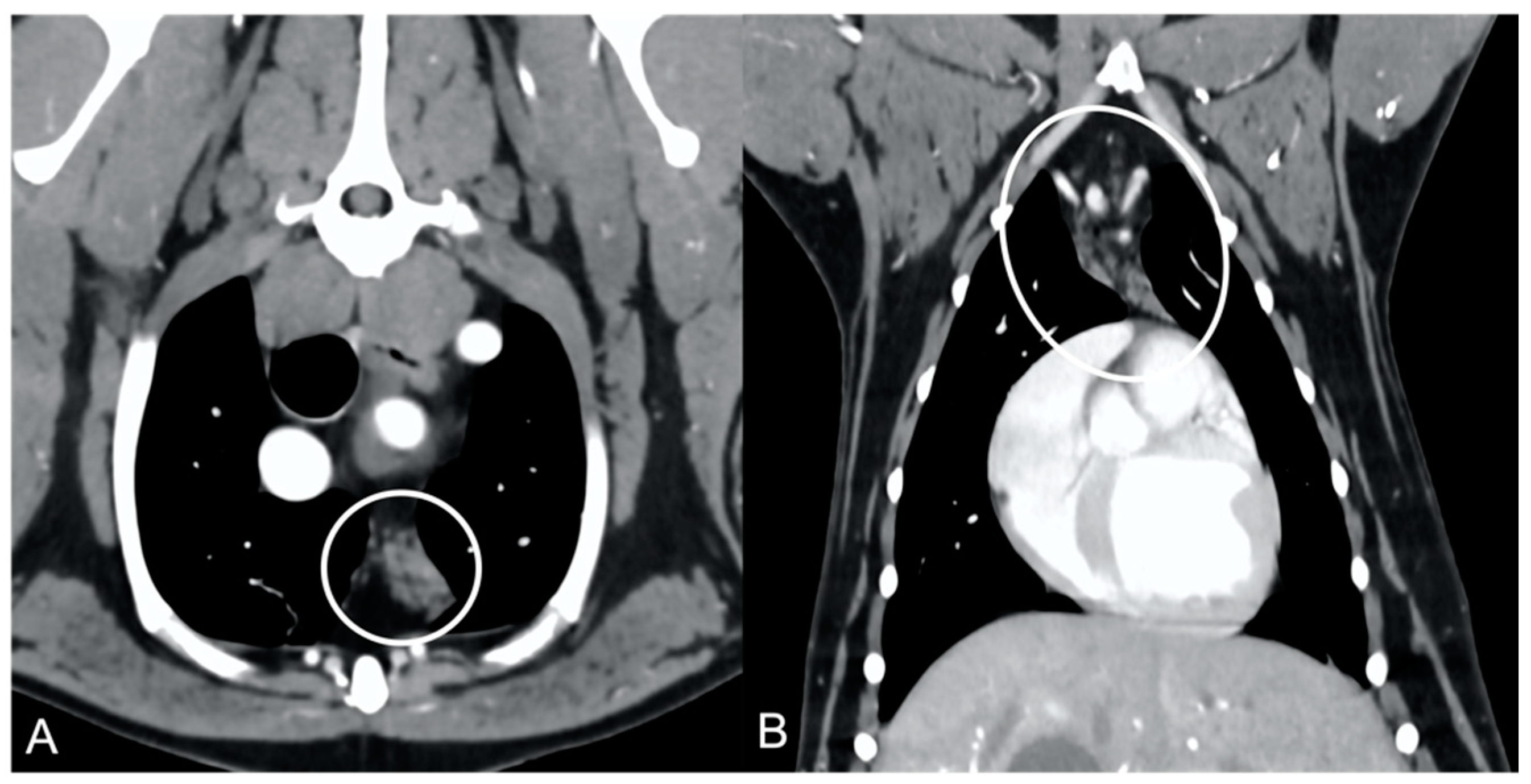Vetsci 10 00192 g005