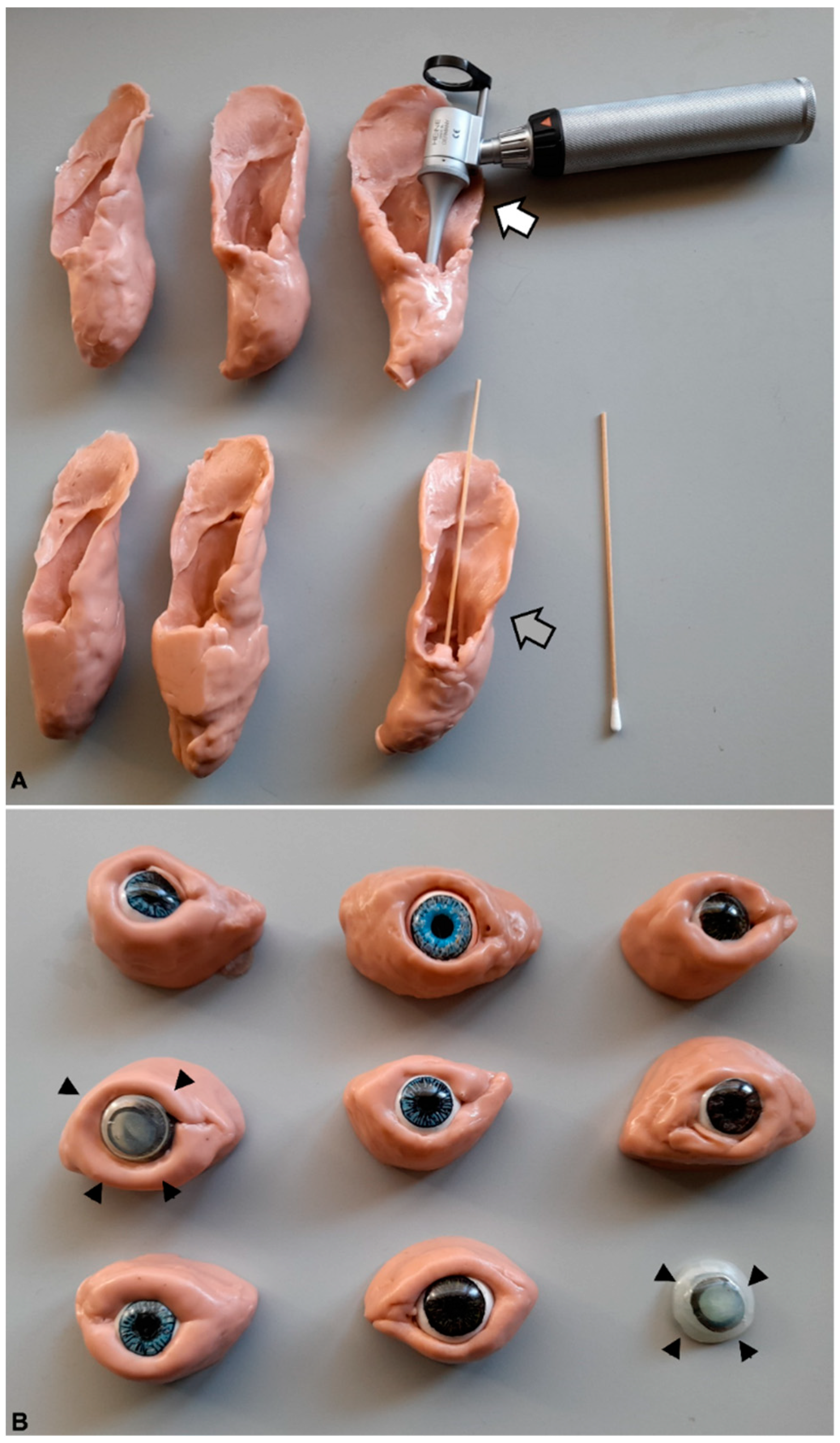 Vetsci 10 00193 g001 Vetsci 10 00193 g001