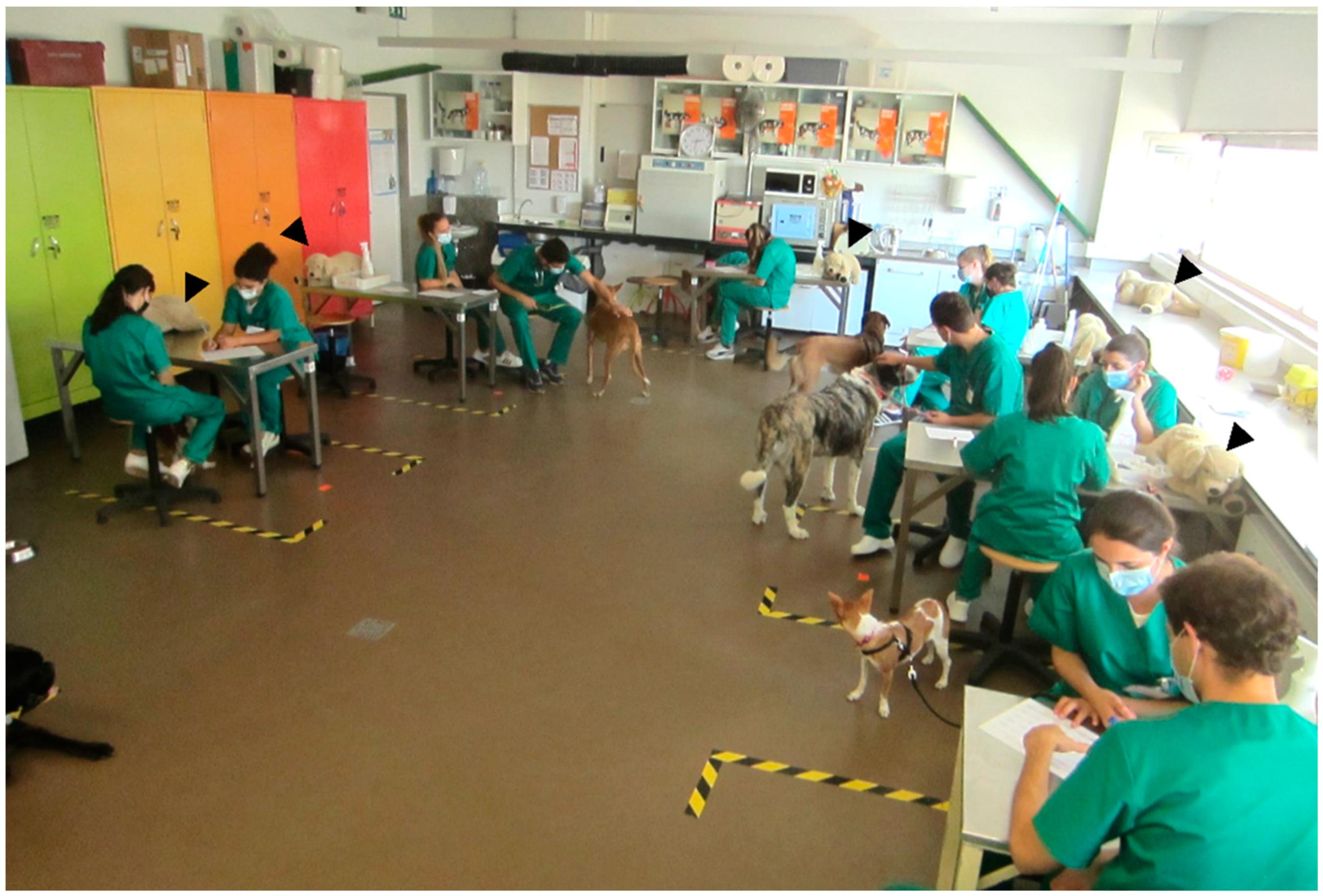 Vetsci 10 00193 g002 Vetsci 10 00193 g002