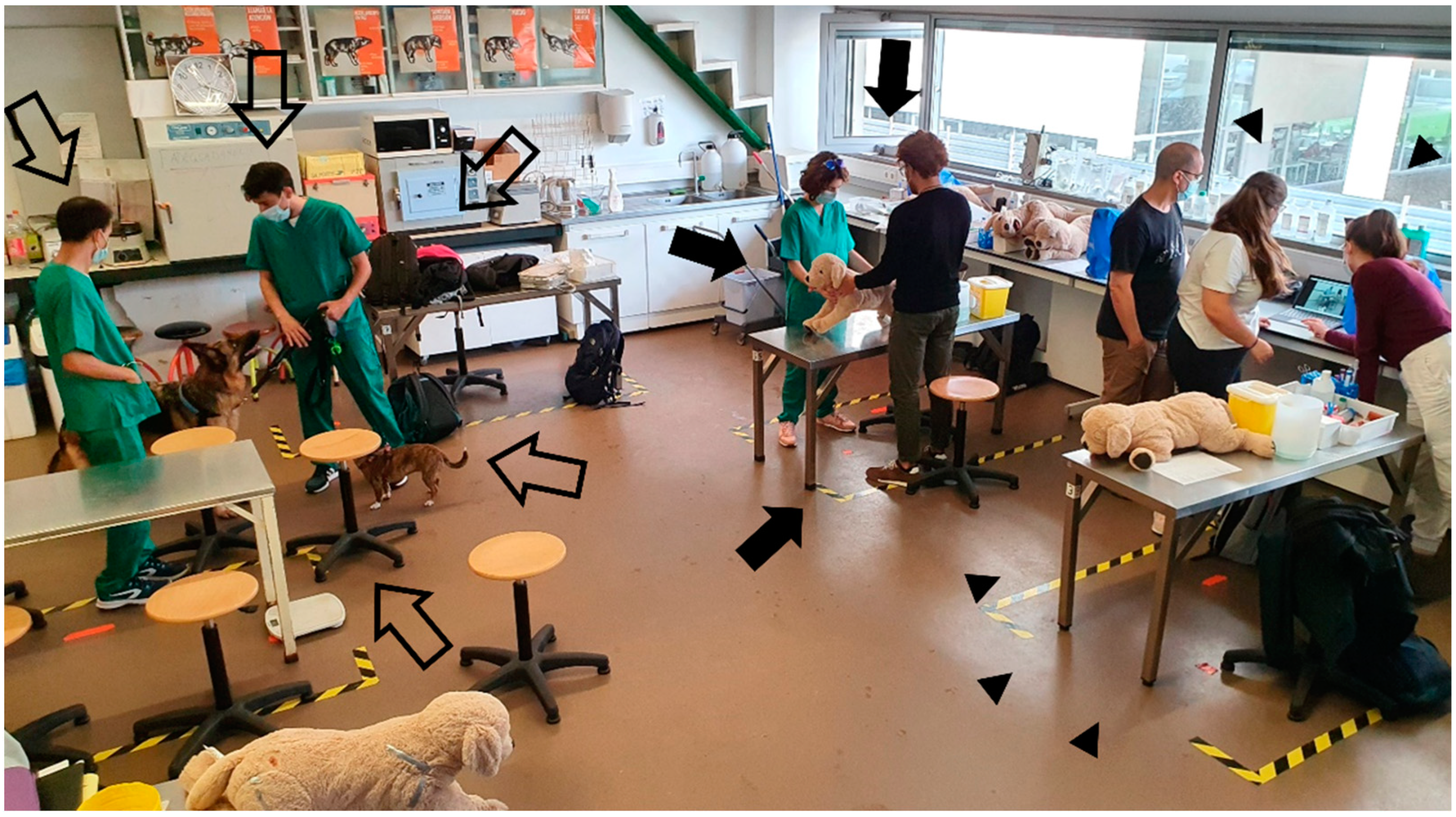 Vetsci 10 00193 g005 Vetsci 10 00193 g005