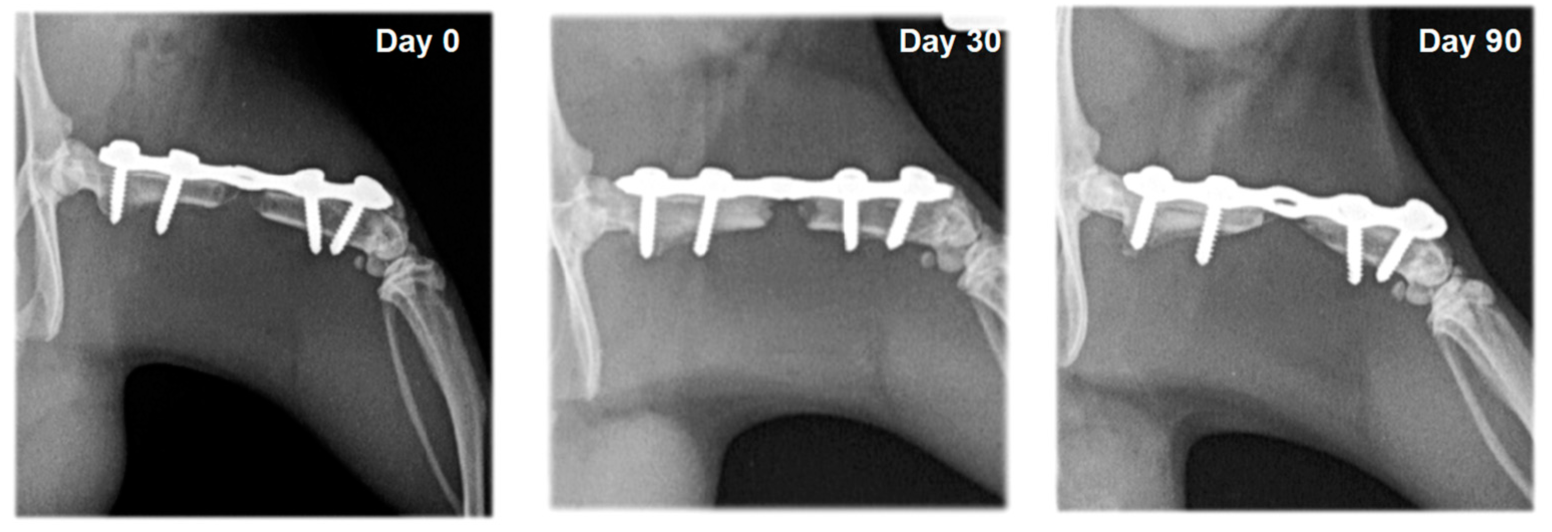 Vetsci 10 00196 g004 Vetsci 10 00196 g004