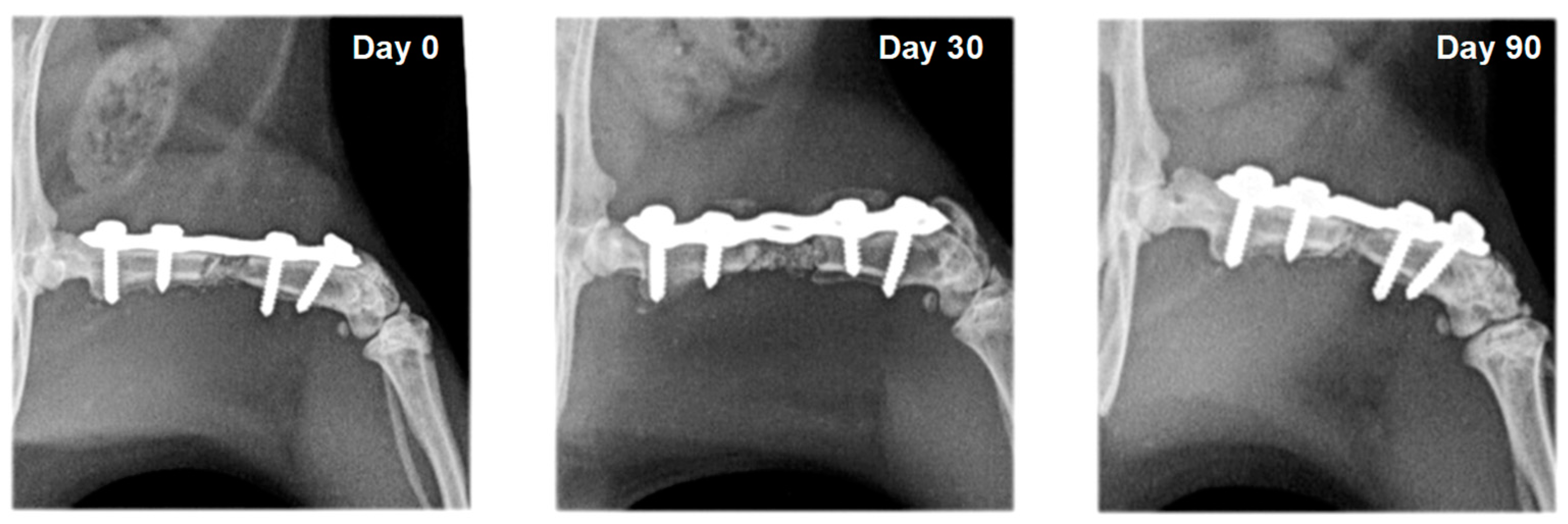 Vetsci 10 00196 g008 Vetsci 10 00196 g008