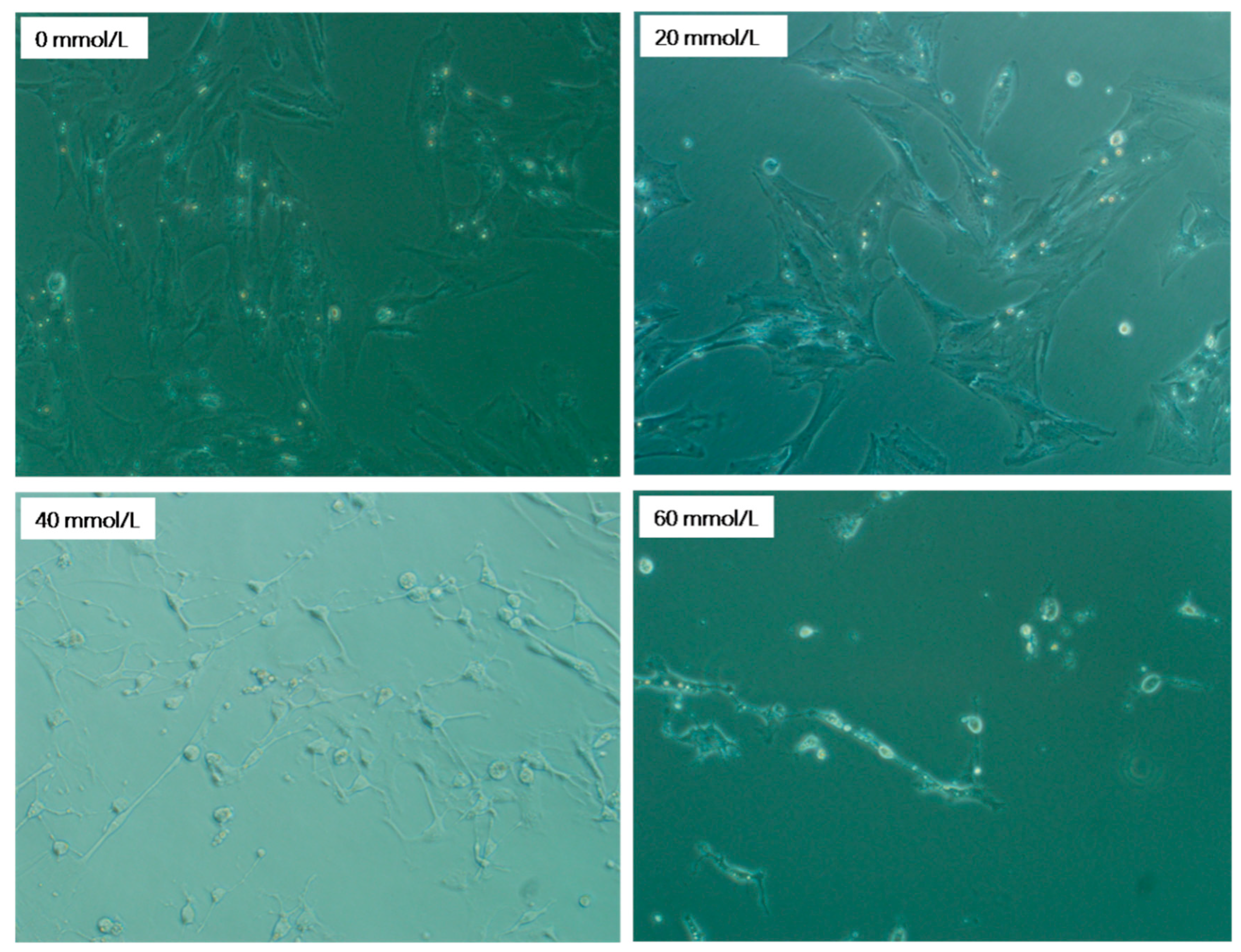 Vetsci 10 00201 g001 Vetsci 10 00201 g001