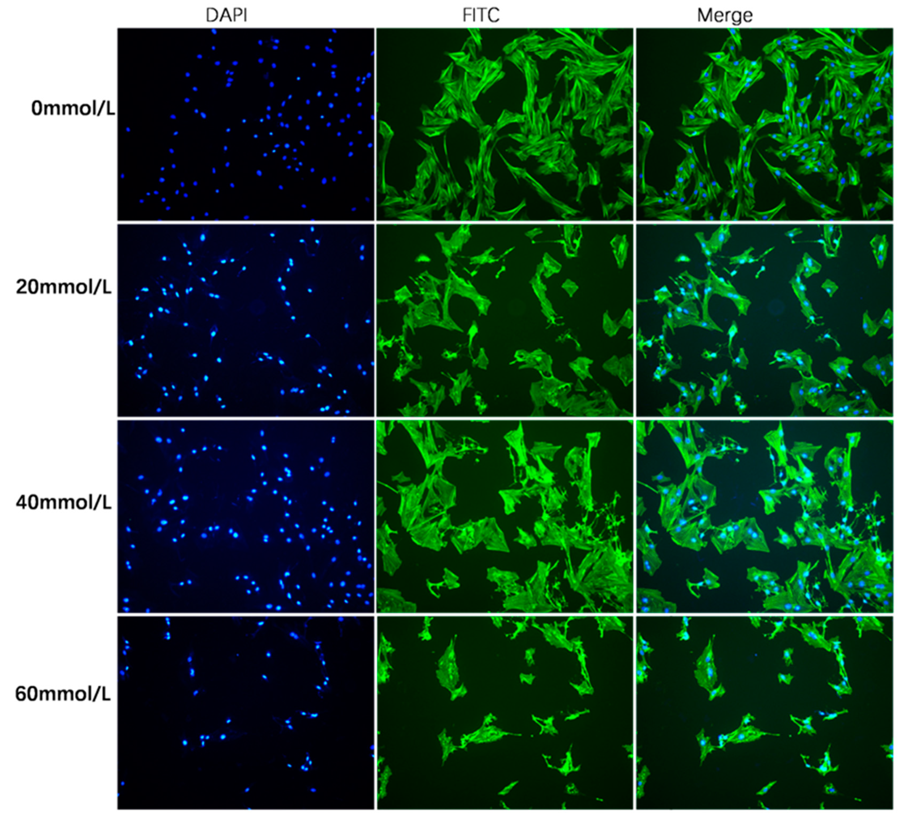 Vetsci 10 00201 g002 Vetsci 10 00201 g002