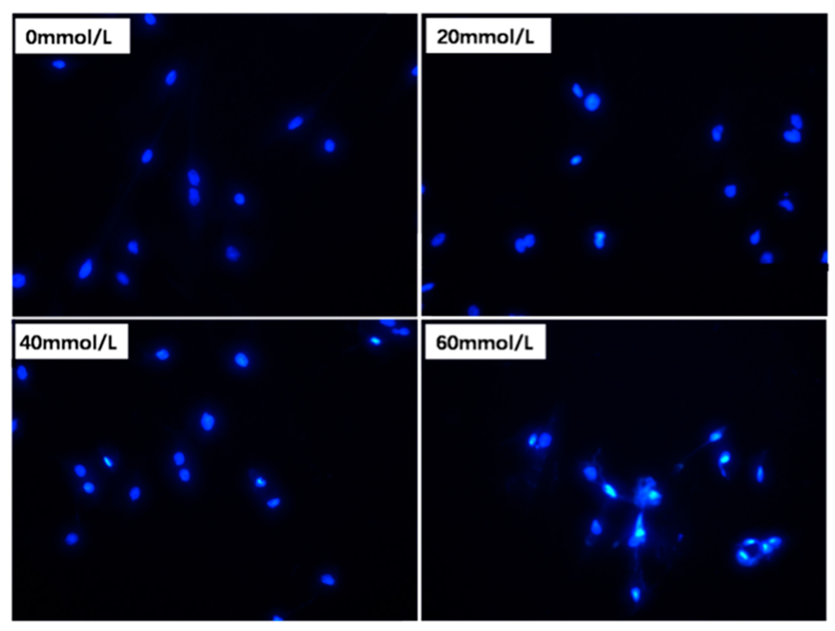 Vetsci 10 00201 g005 Vetsci 10 00201 g005