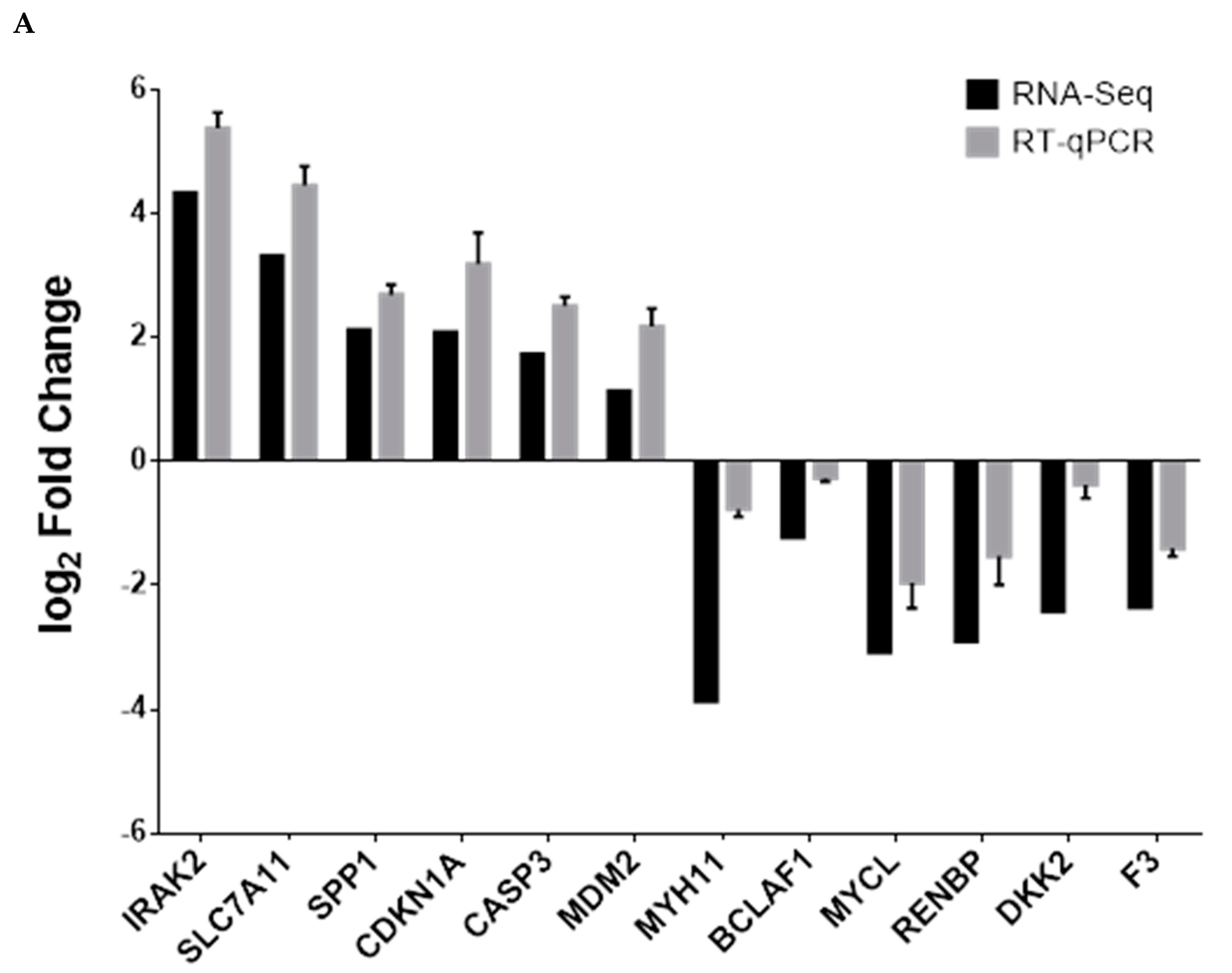 Vetsci 10 00201 g008a Vetsci 10 00201 g008a
