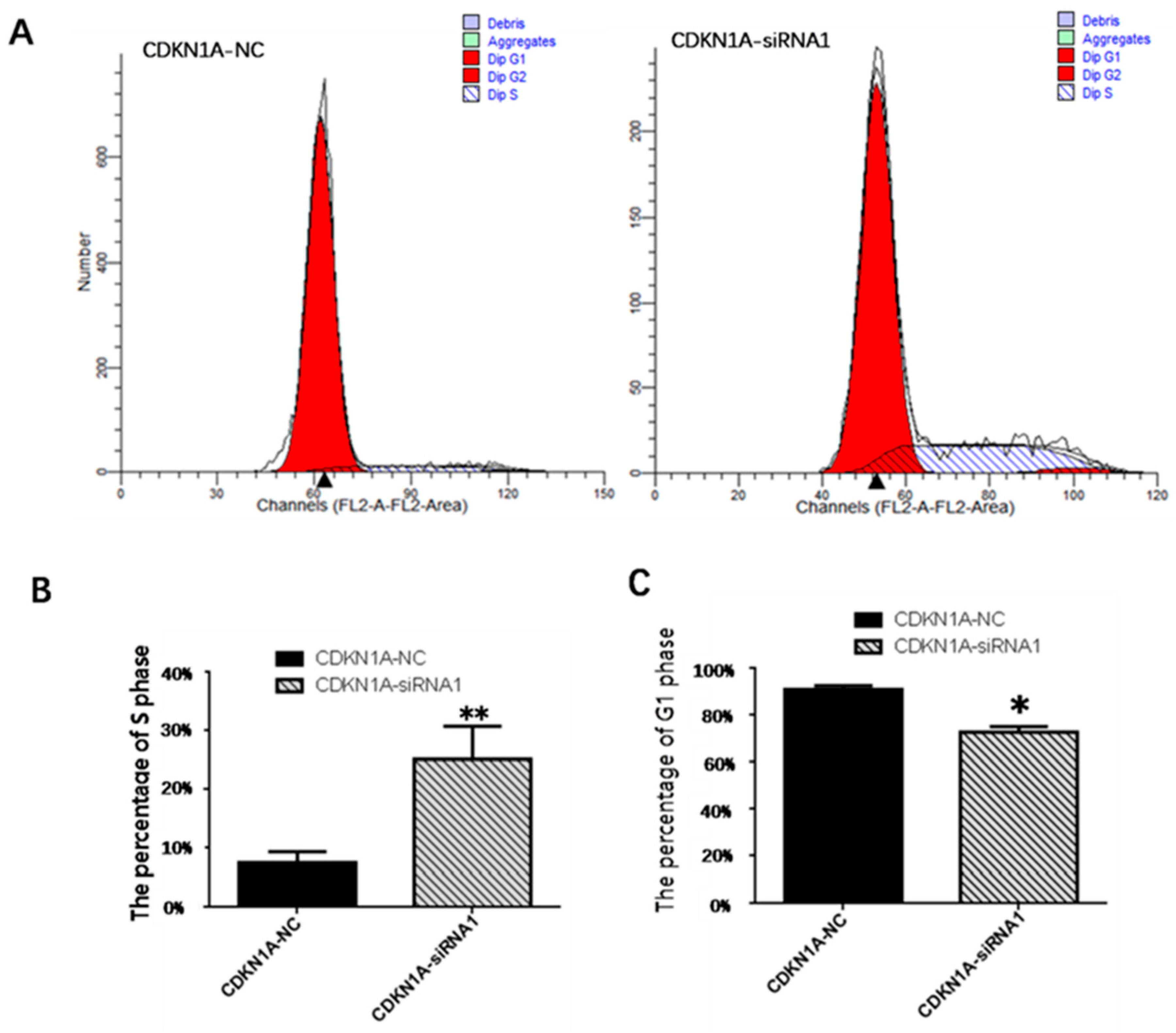 Vetsci 10 00201 g011 Vetsci 10 00201 g011