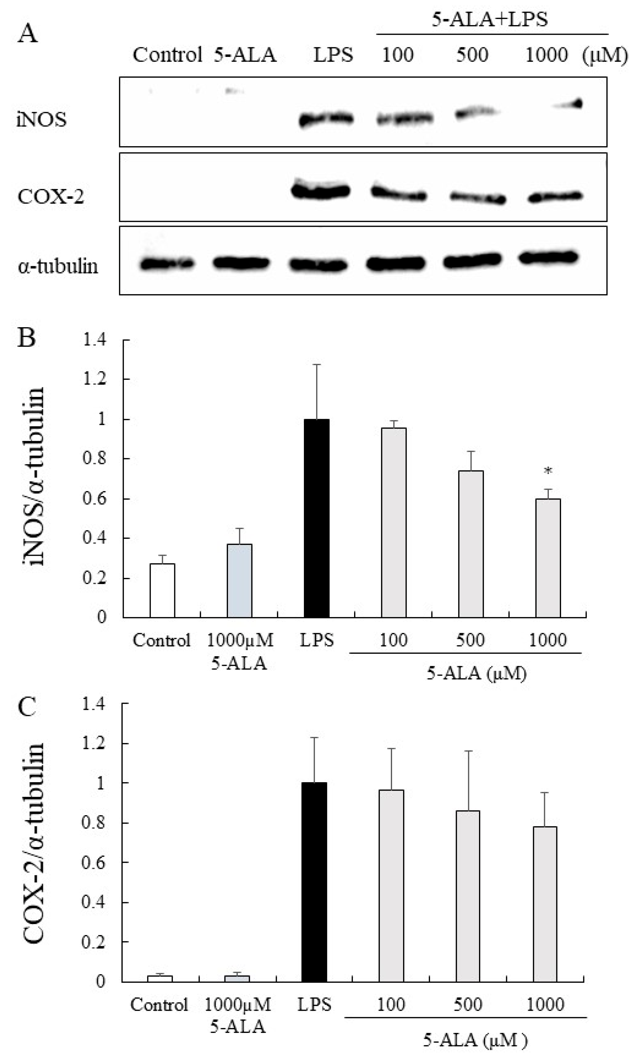 Vetsci 10 00207 g005