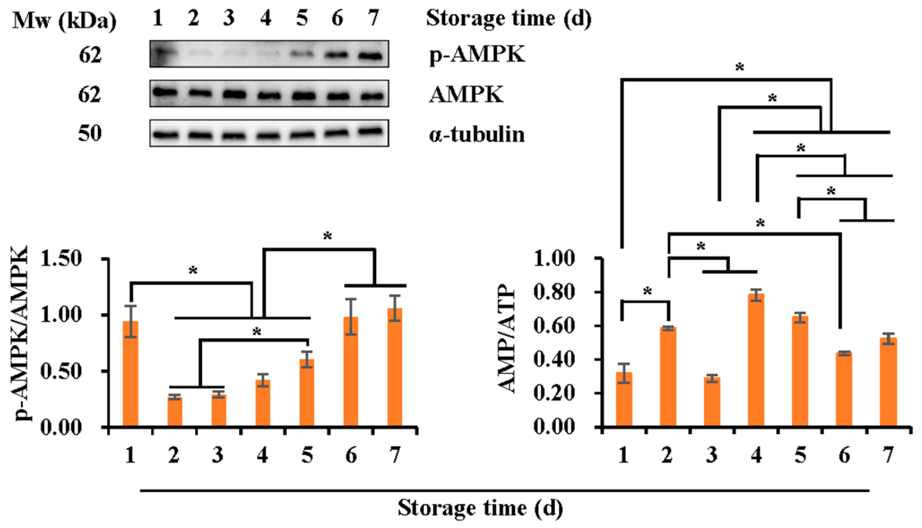 Vetsci 10 00214 g003
