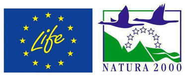 Vetsci 10 00219 i001