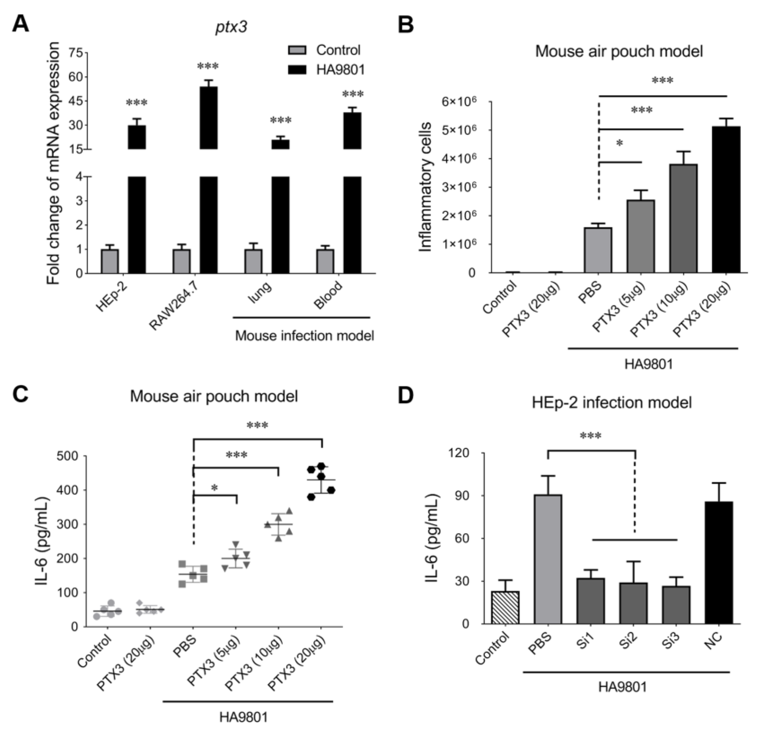 Vetsci 10 00239 g001