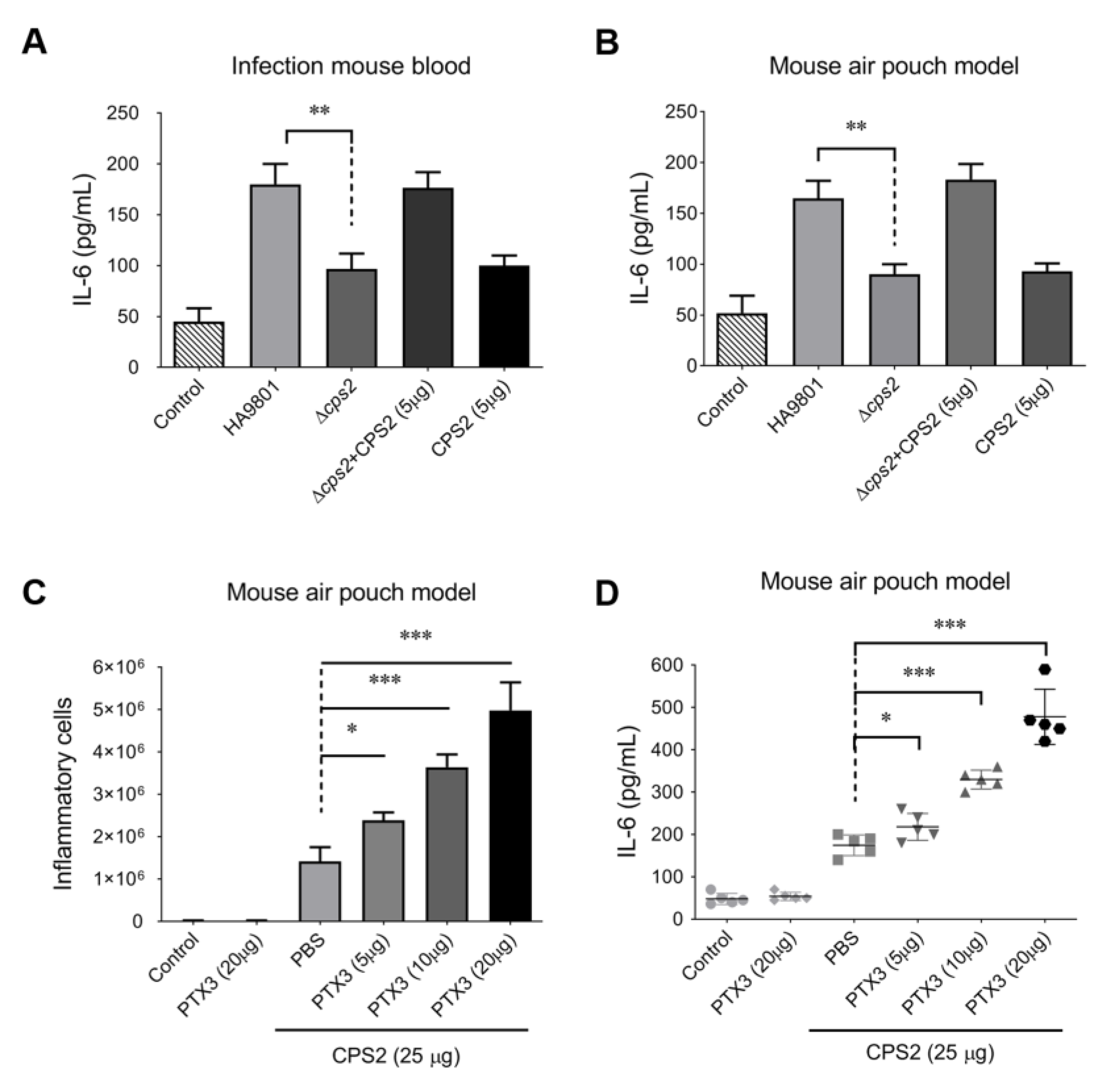Vetsci 10 00239 g002