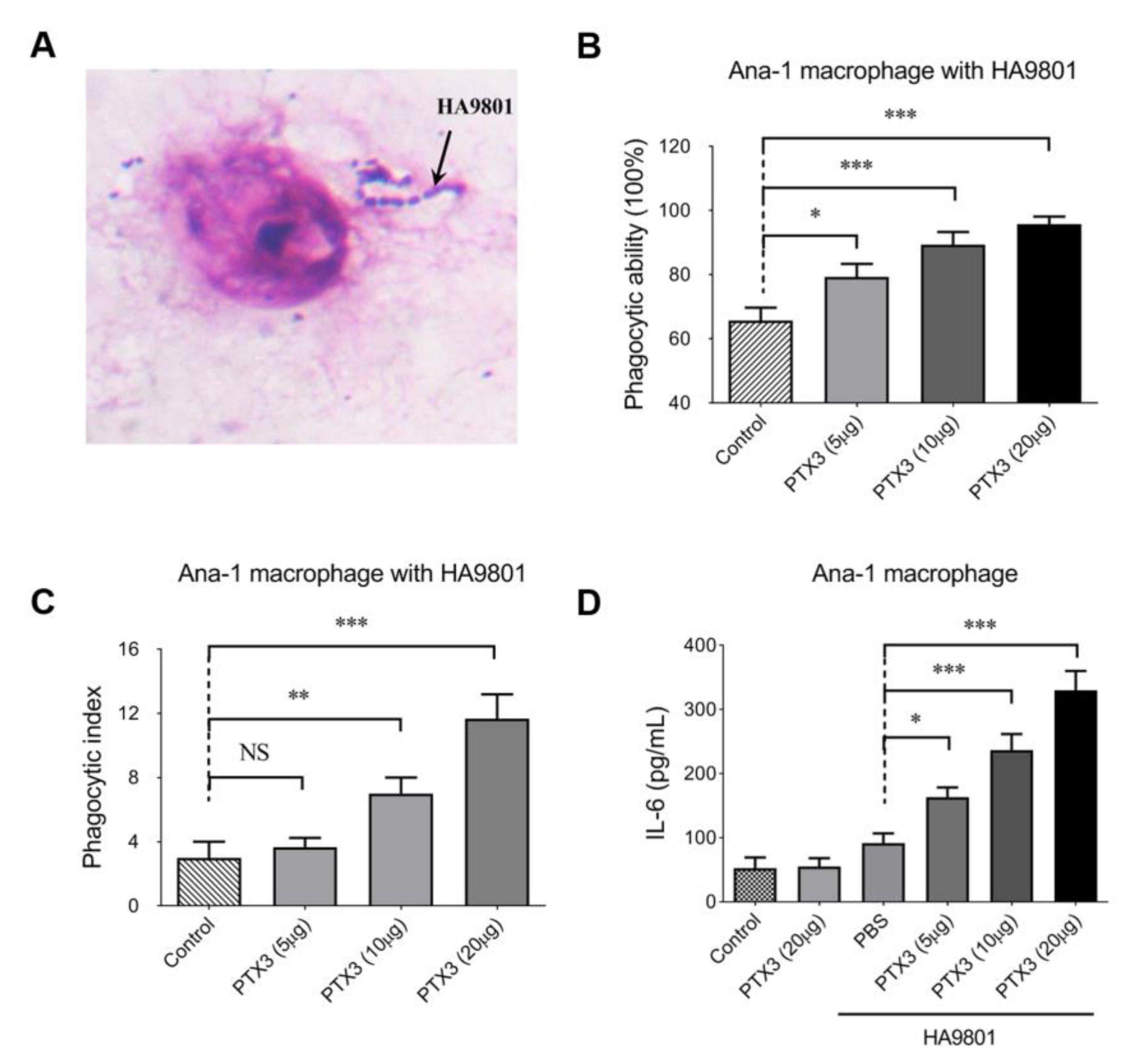 Vetsci 10 00239 g003