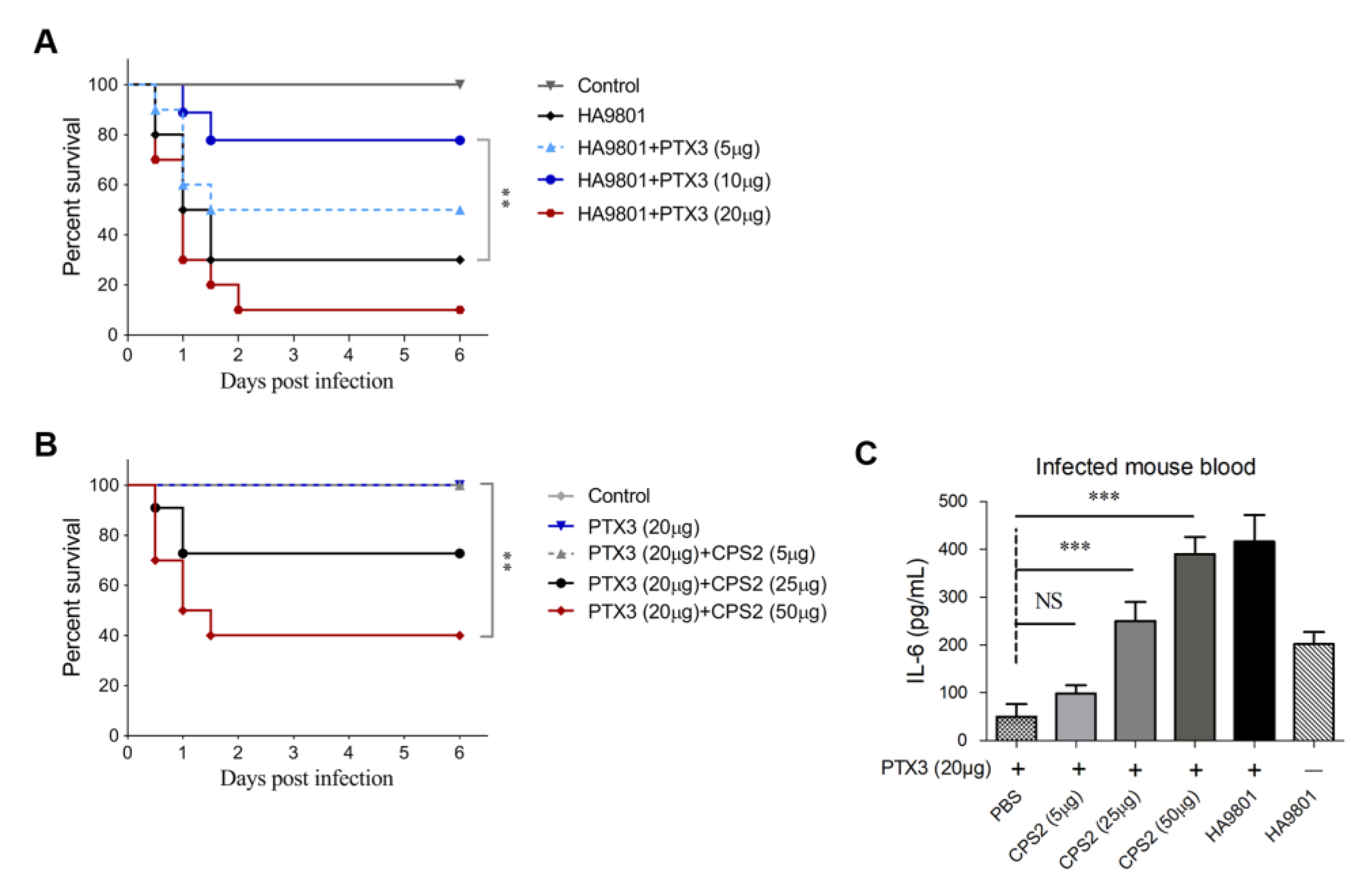 Vetsci 10 00239 g005