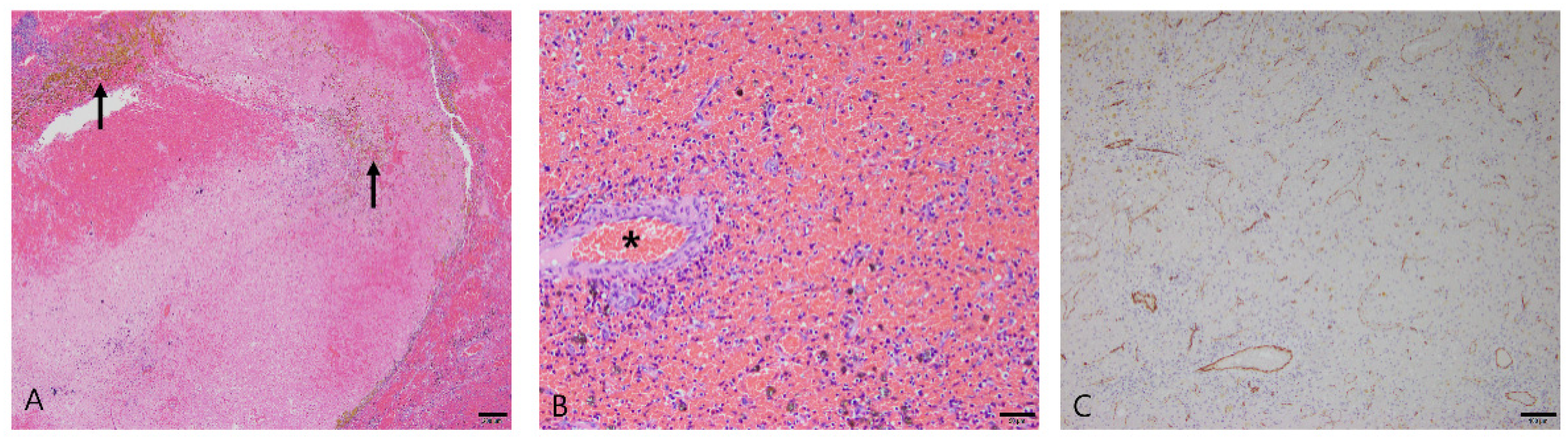 Vetsci 10 00247 g002