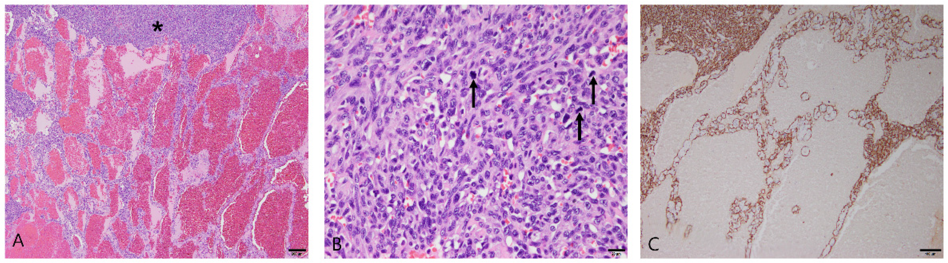 Vetsci 10 00247 g003