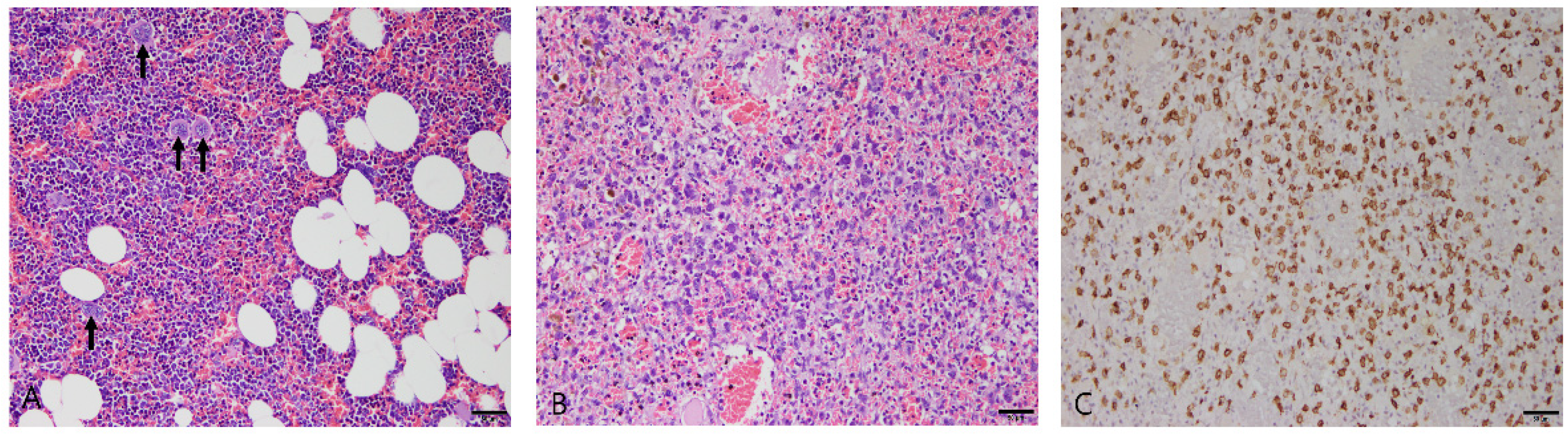 Vetsci 10 00247 g006