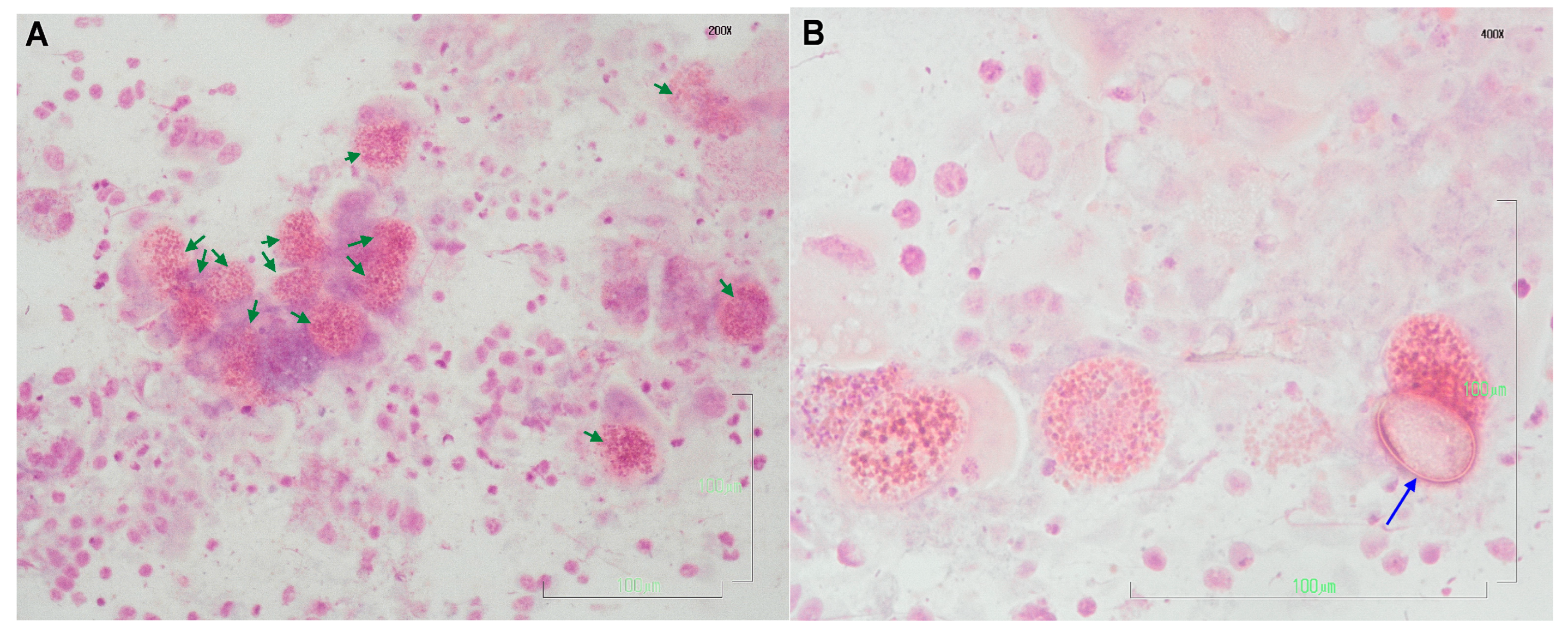 Vetsci 10 00248 g001 Vetsci 10 00248 g001