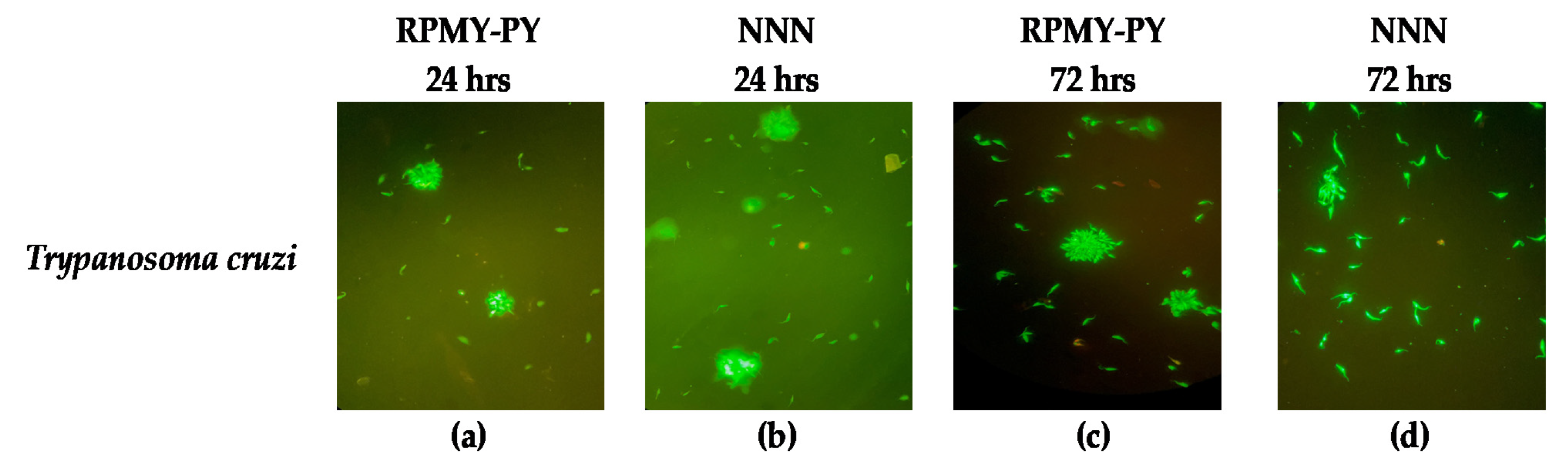 Vetsci 10 00252 g004