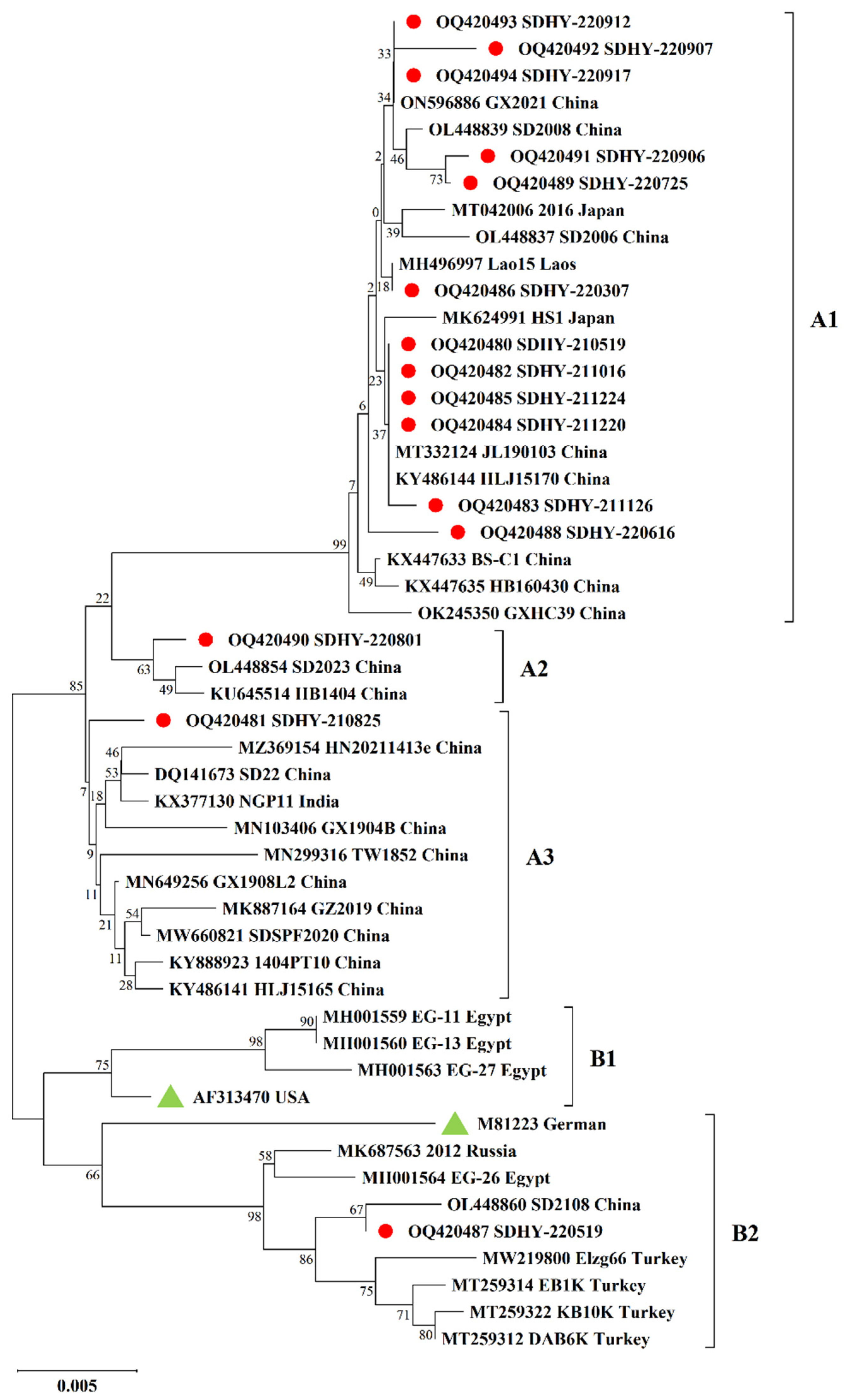 Vetsci 10 00263 g002