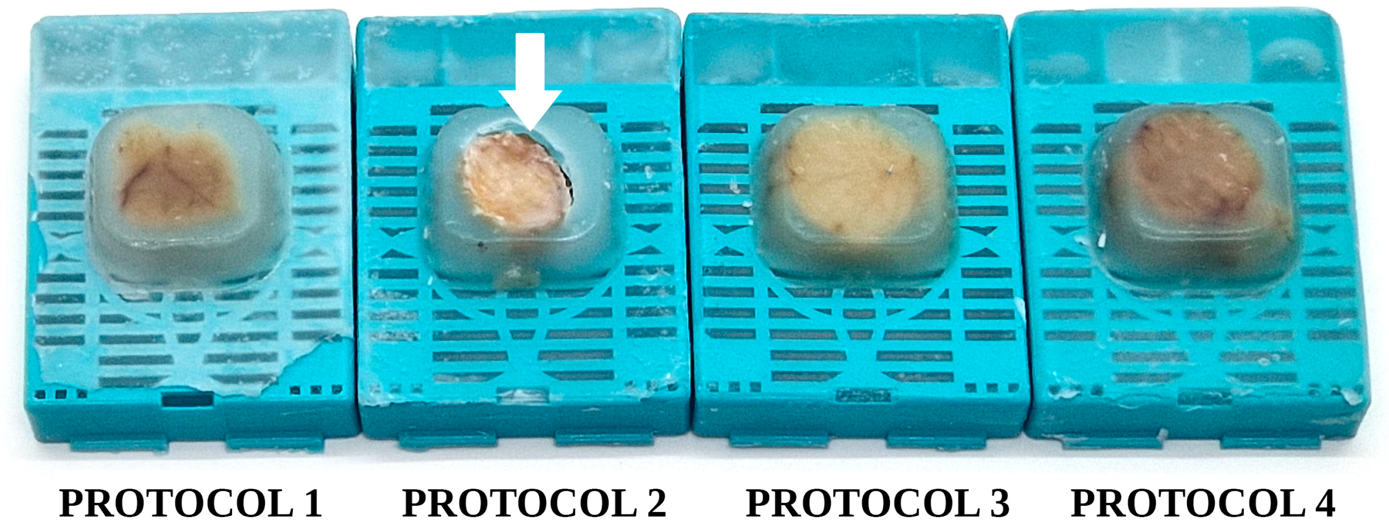 Vetsci 10 00280 g005