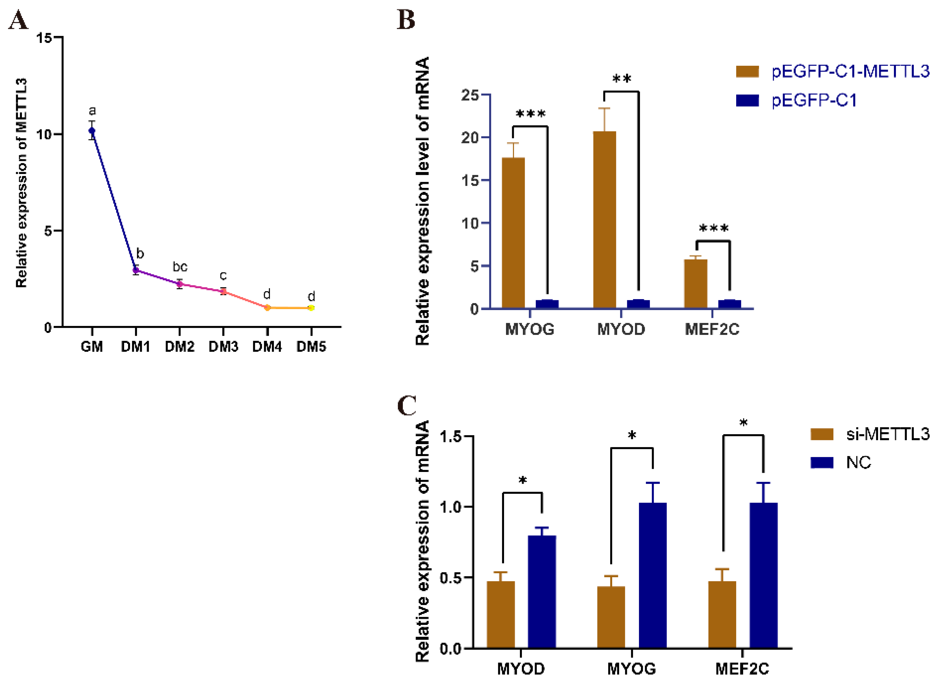 Vetsci 10 00300 g004