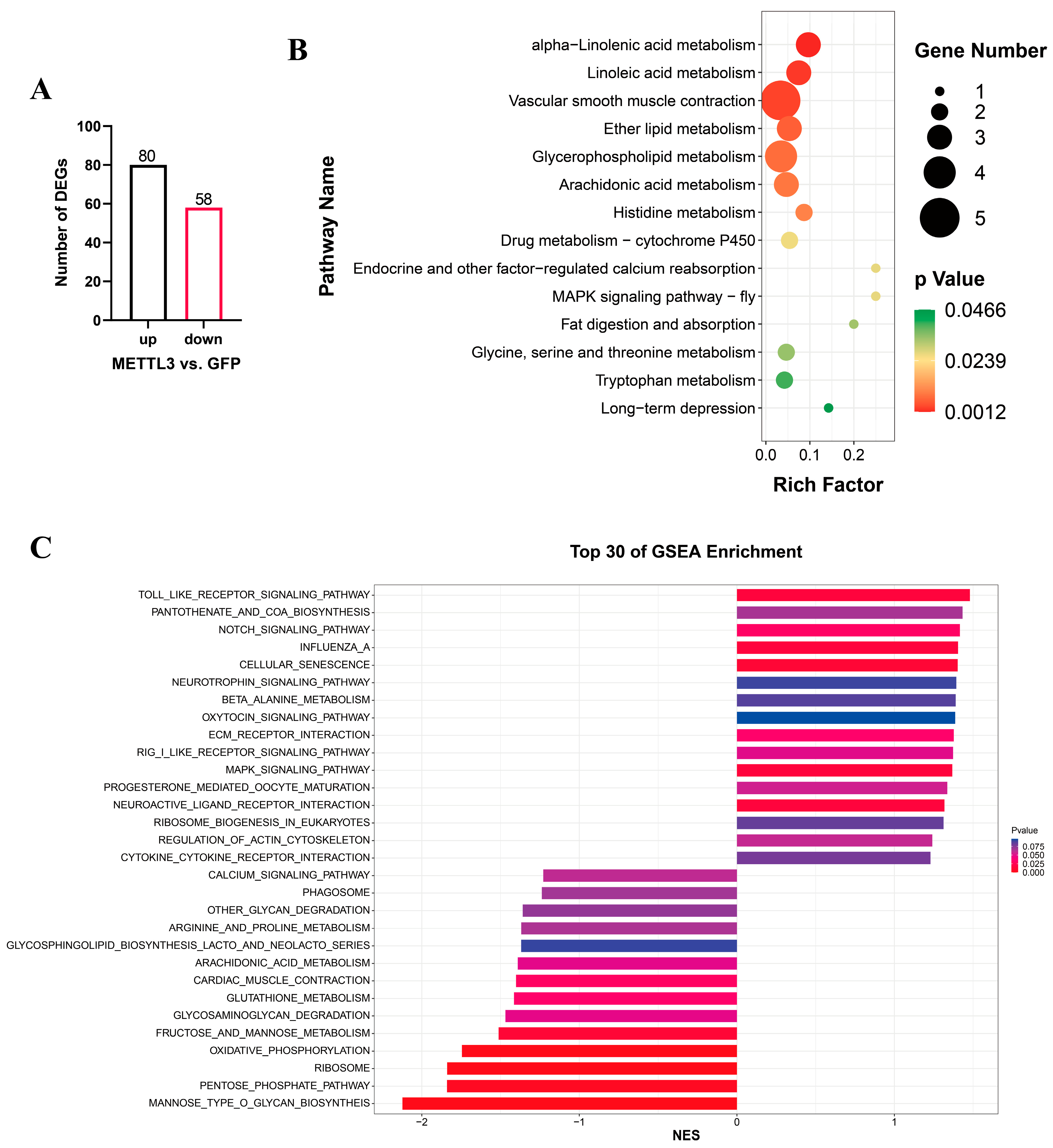 Vetsci 10 00300 g005