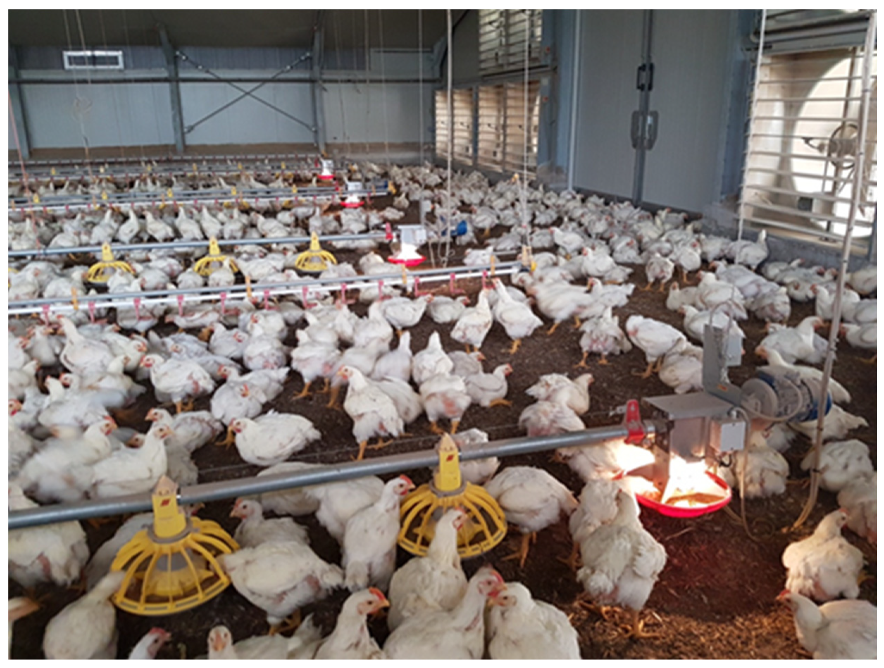 Vetsci 10 00306 g001