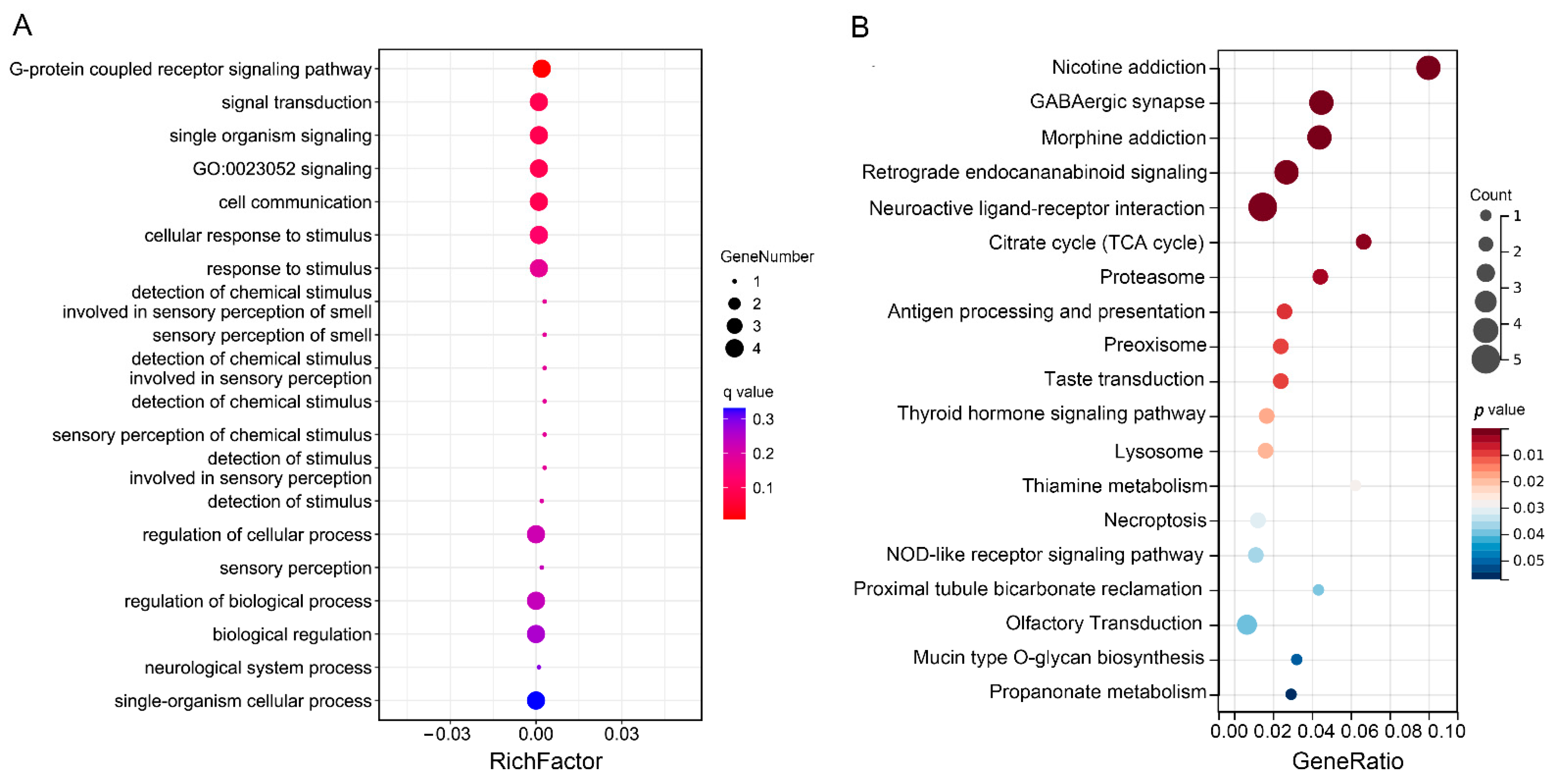 Vetsci 10 00307 g004