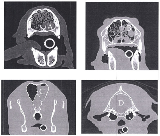 Vetsci 10 00326 g0a1