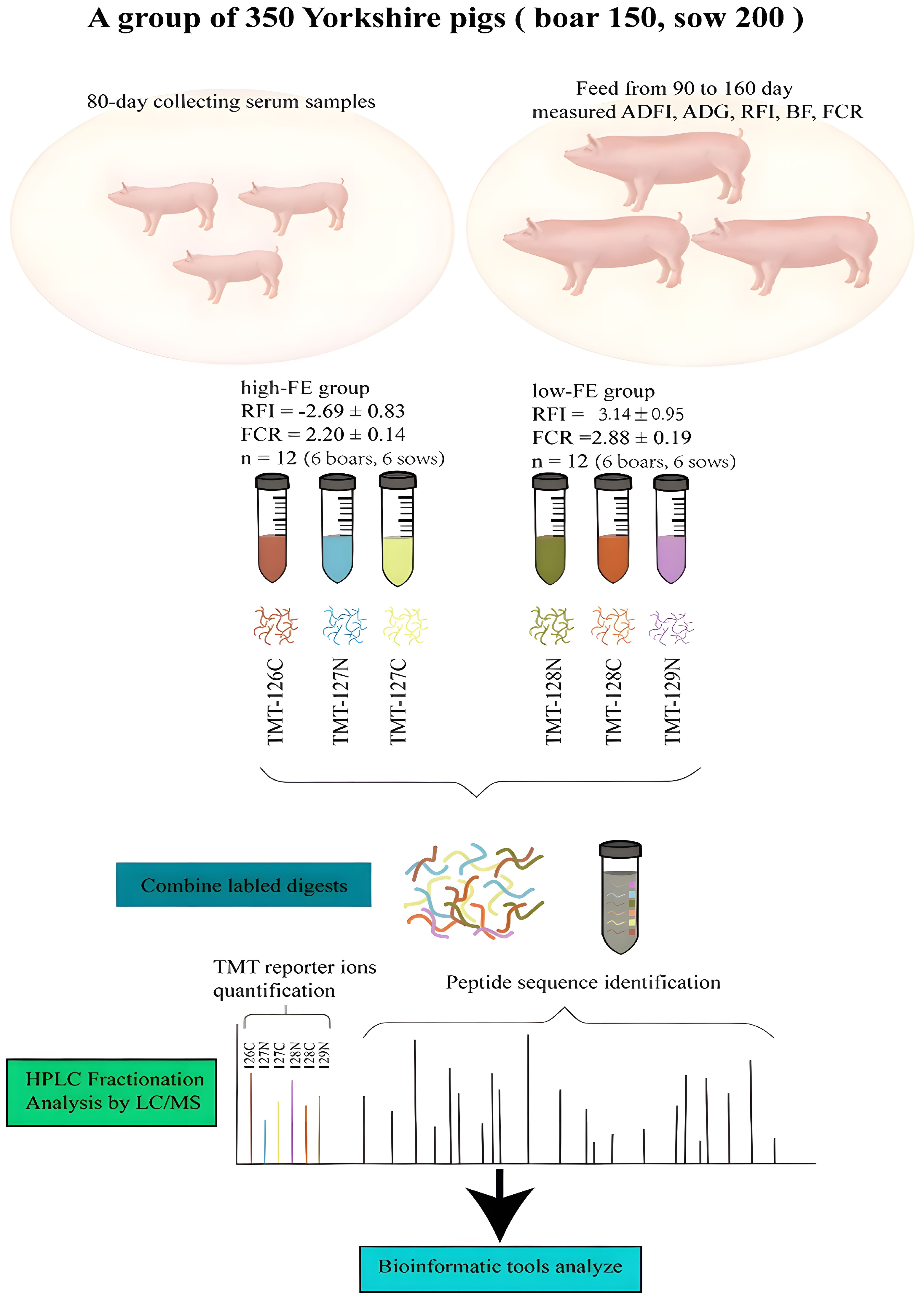 Vetsci 10 00338 g001 Vetsci 10 00338 g001