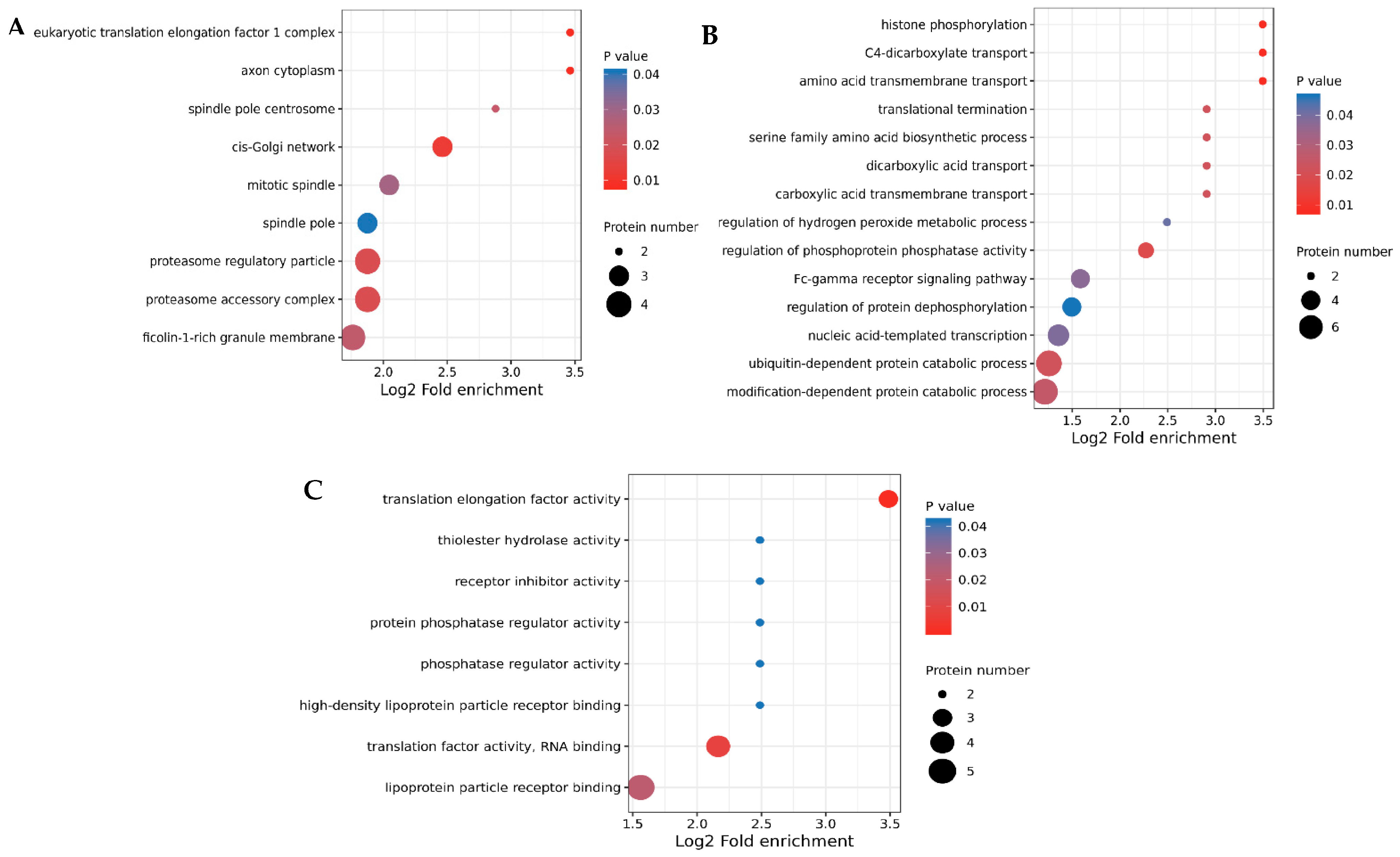 Vetsci 10 00338 g004 Vetsci 10 00338 g004