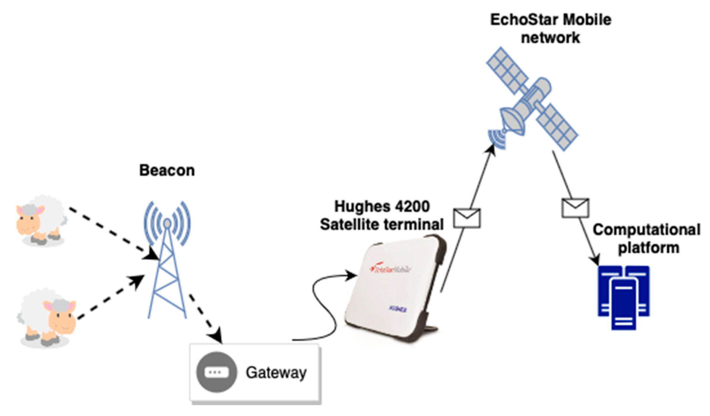 Vetsci 10 00340 g001 Vetsci 10 00340 g001