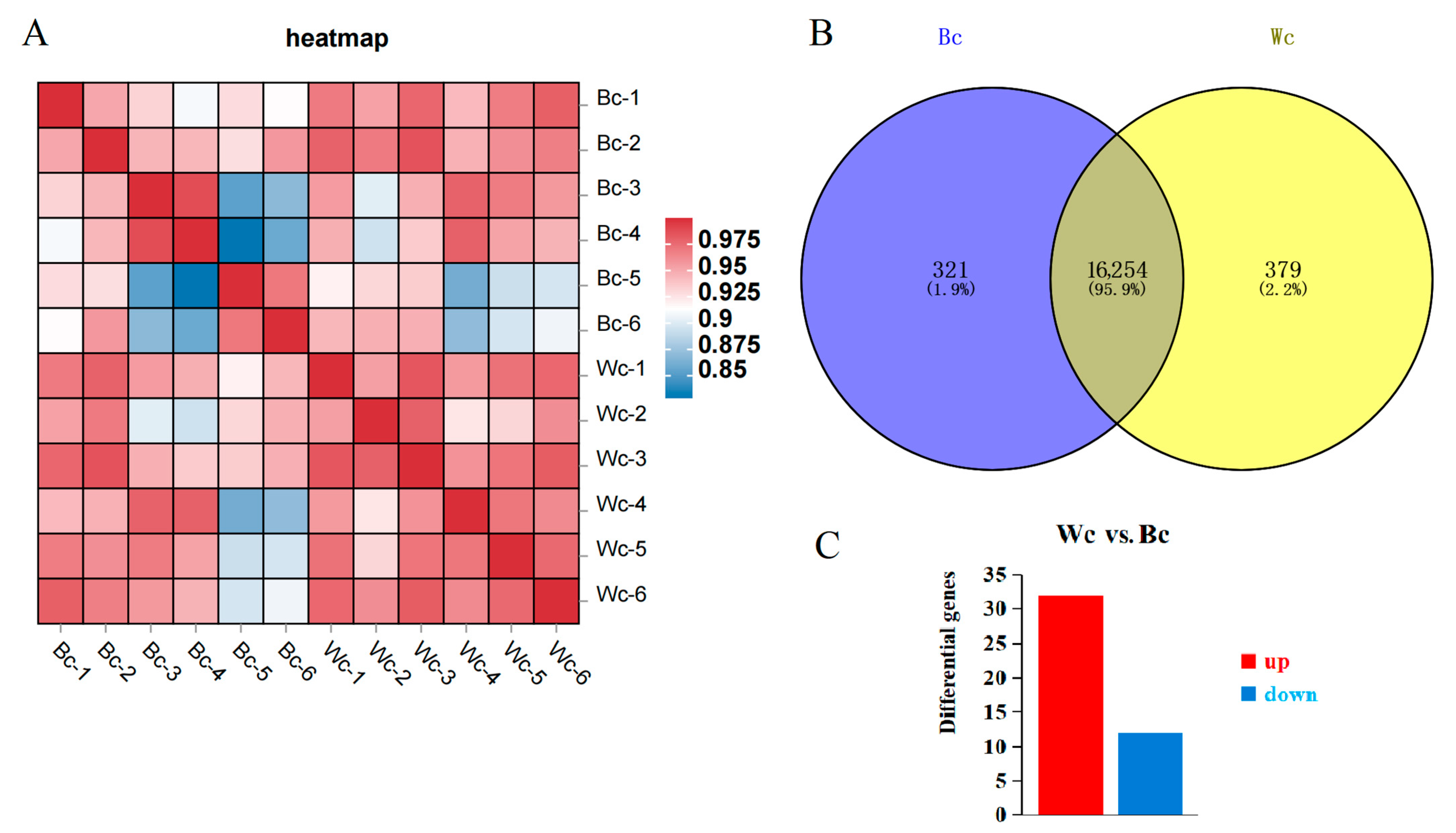 Vetsci 10 00341 g002