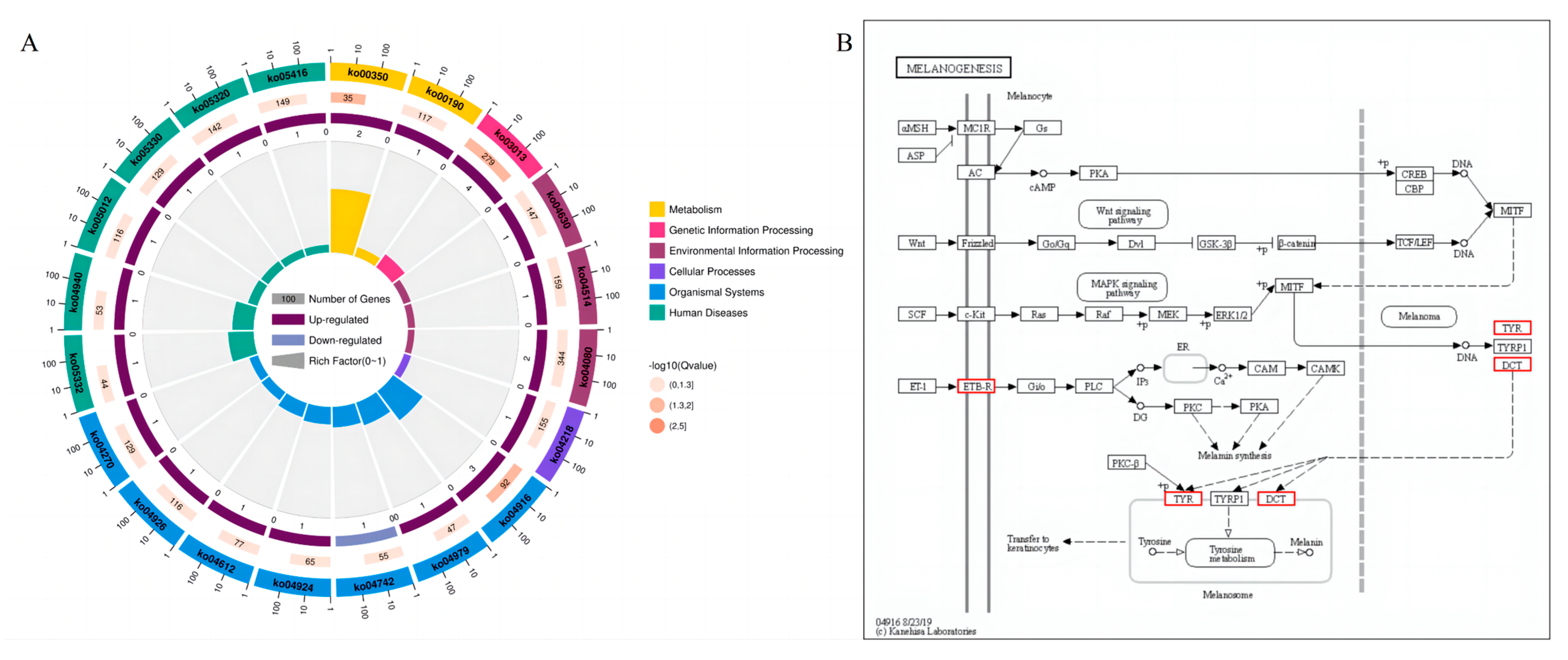 Vetsci 10 00341 g005