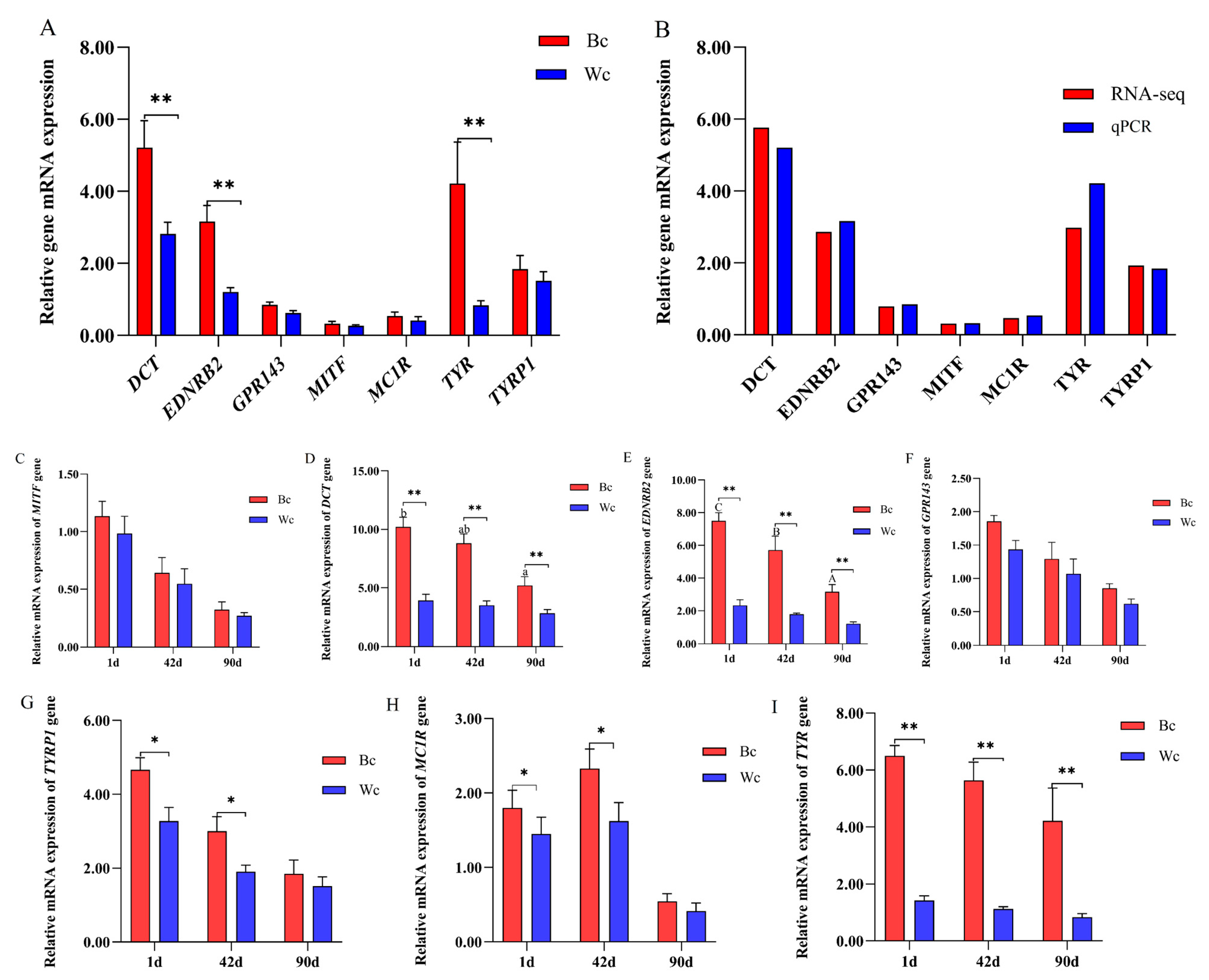 Vetsci 10 00341 g008