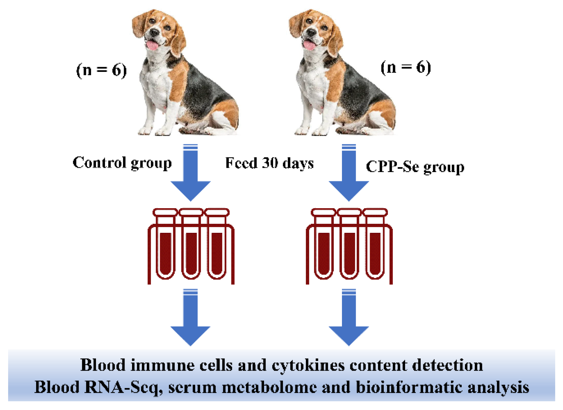 Vetsci 10 00345 g001
