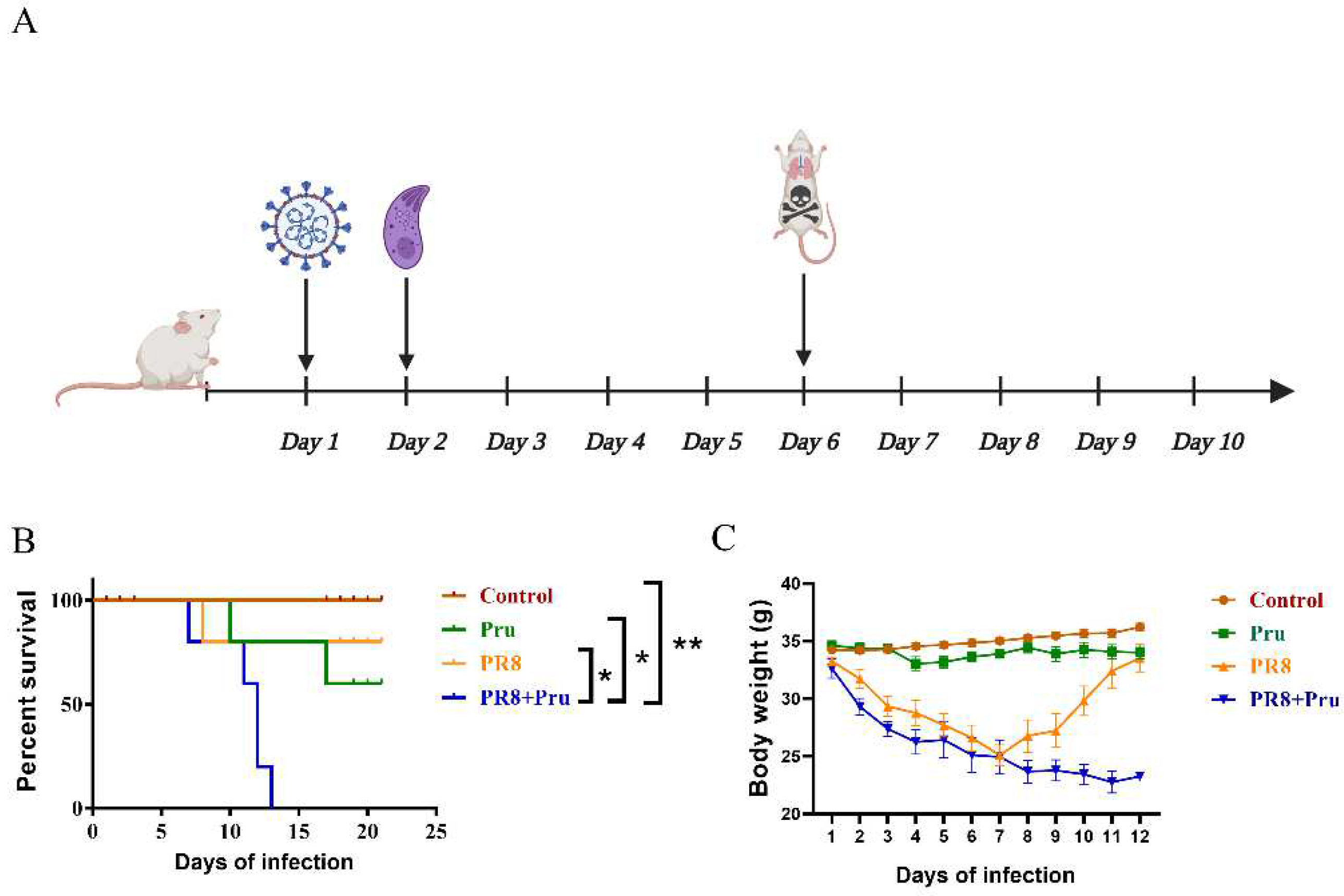 Vetsci 10 00354 g001 Vetsci 10 00354 g001