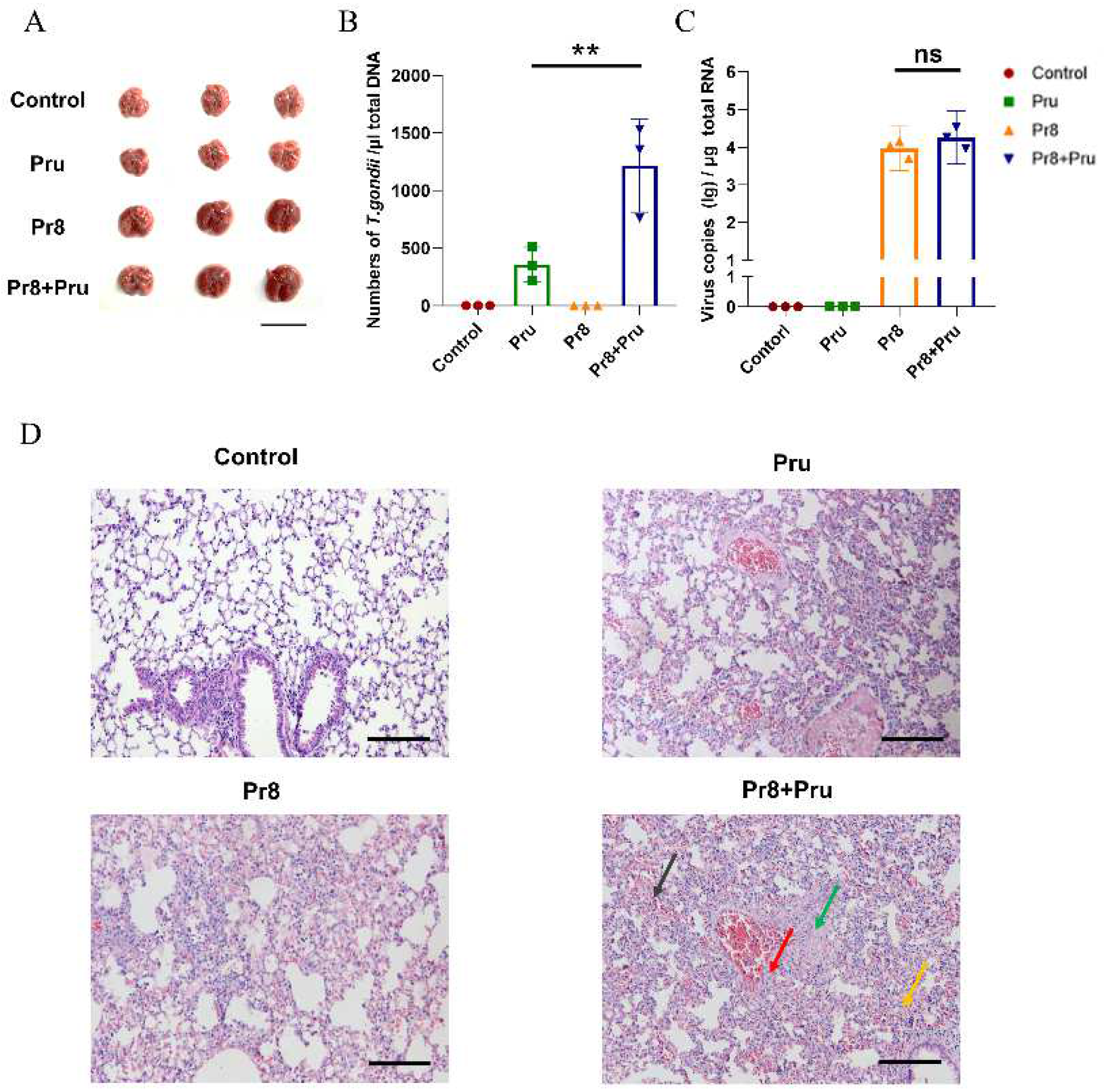 Vetsci 10 00354 g002 Vetsci 10 00354 g002