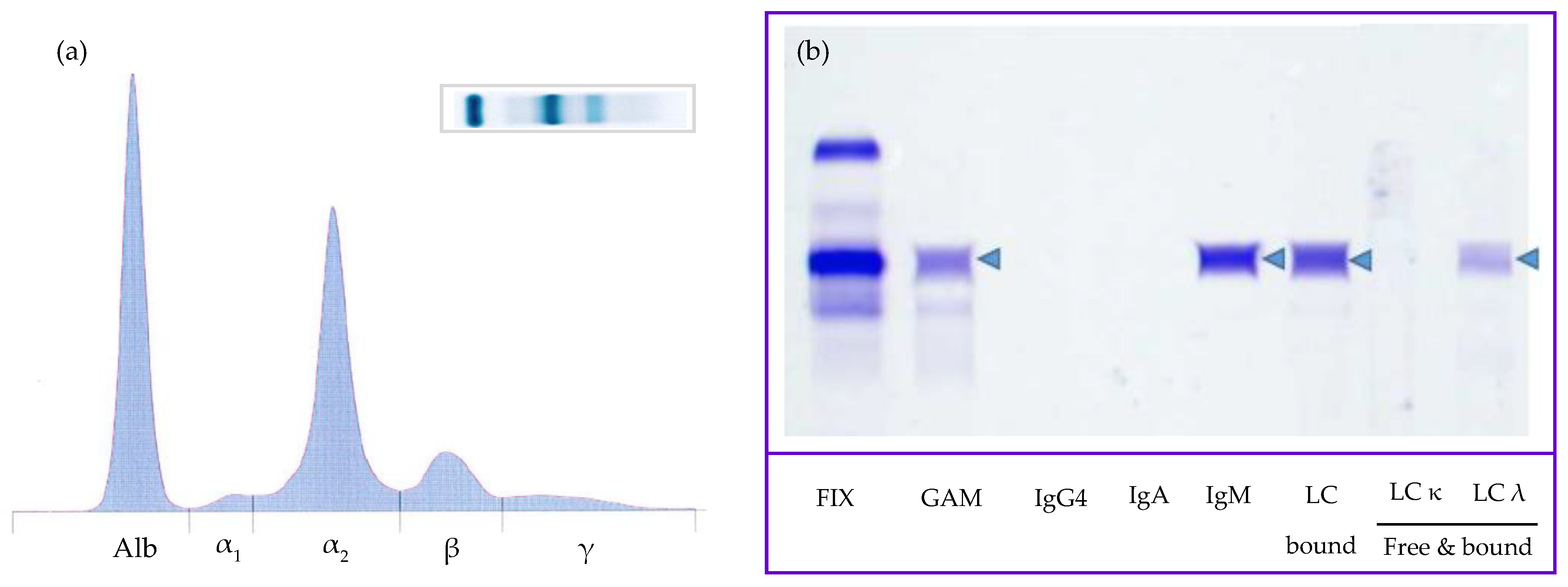 Vetsci 10 00355 g006