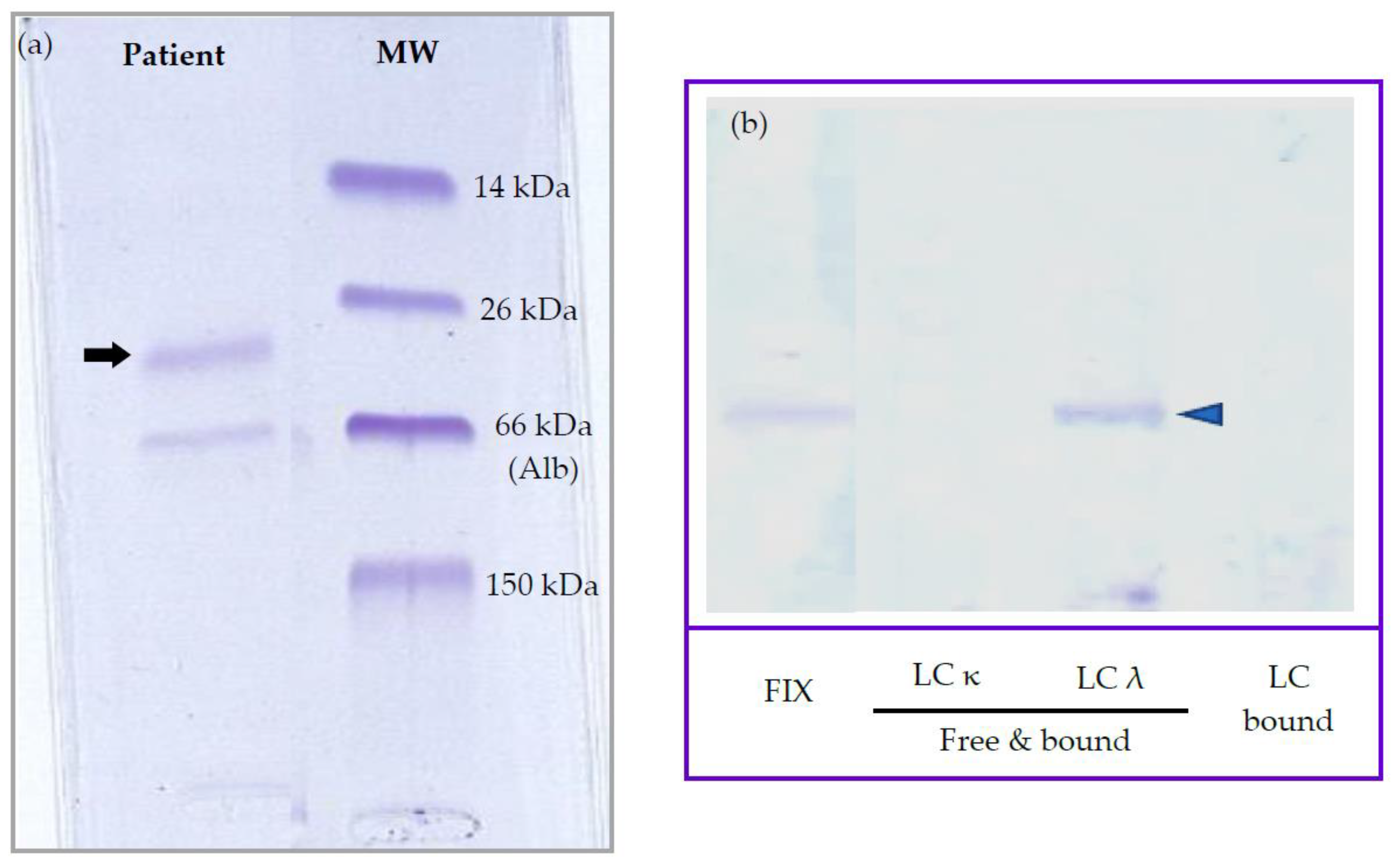 Vetsci 10 00355 g007